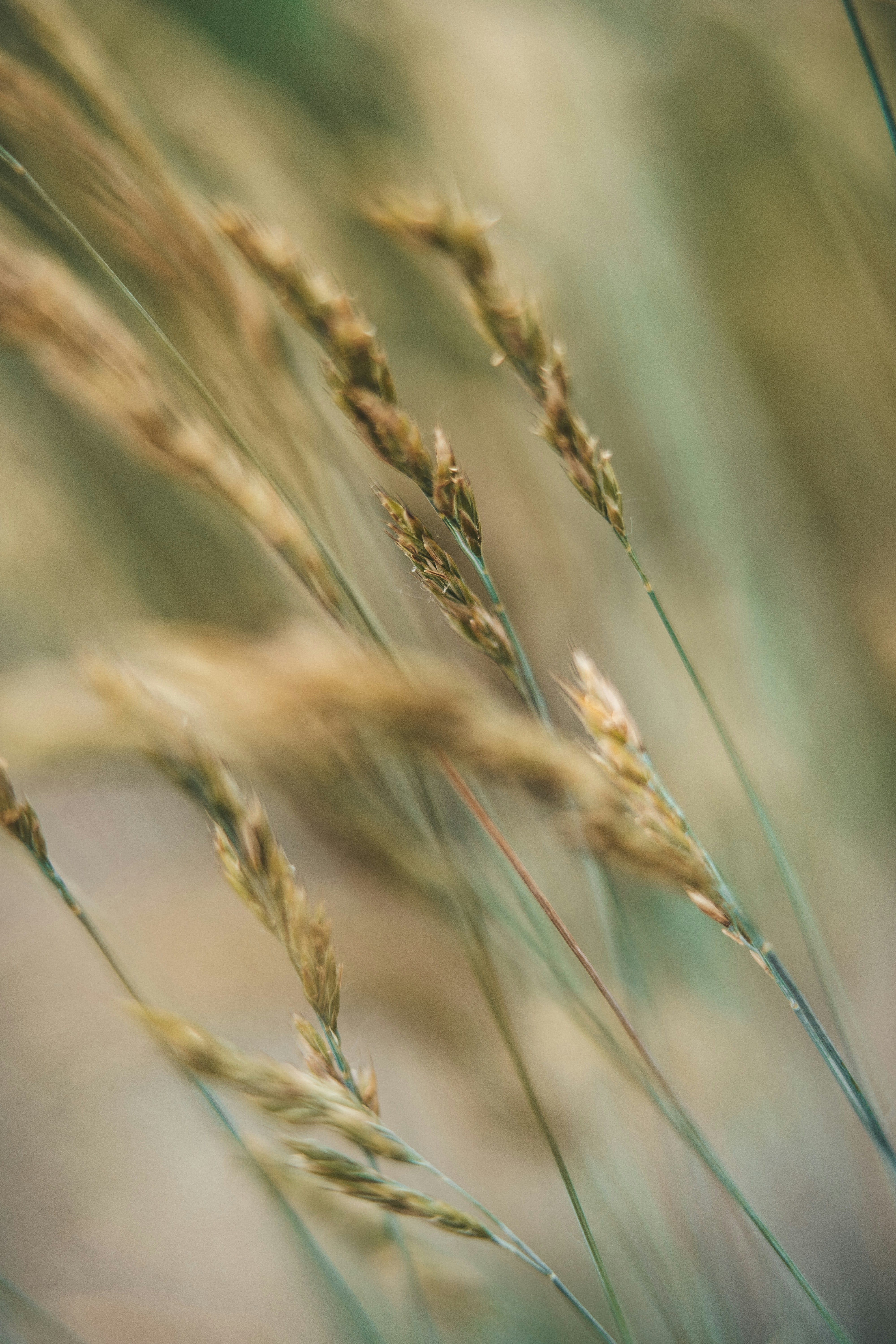 Photo by anamnesis33