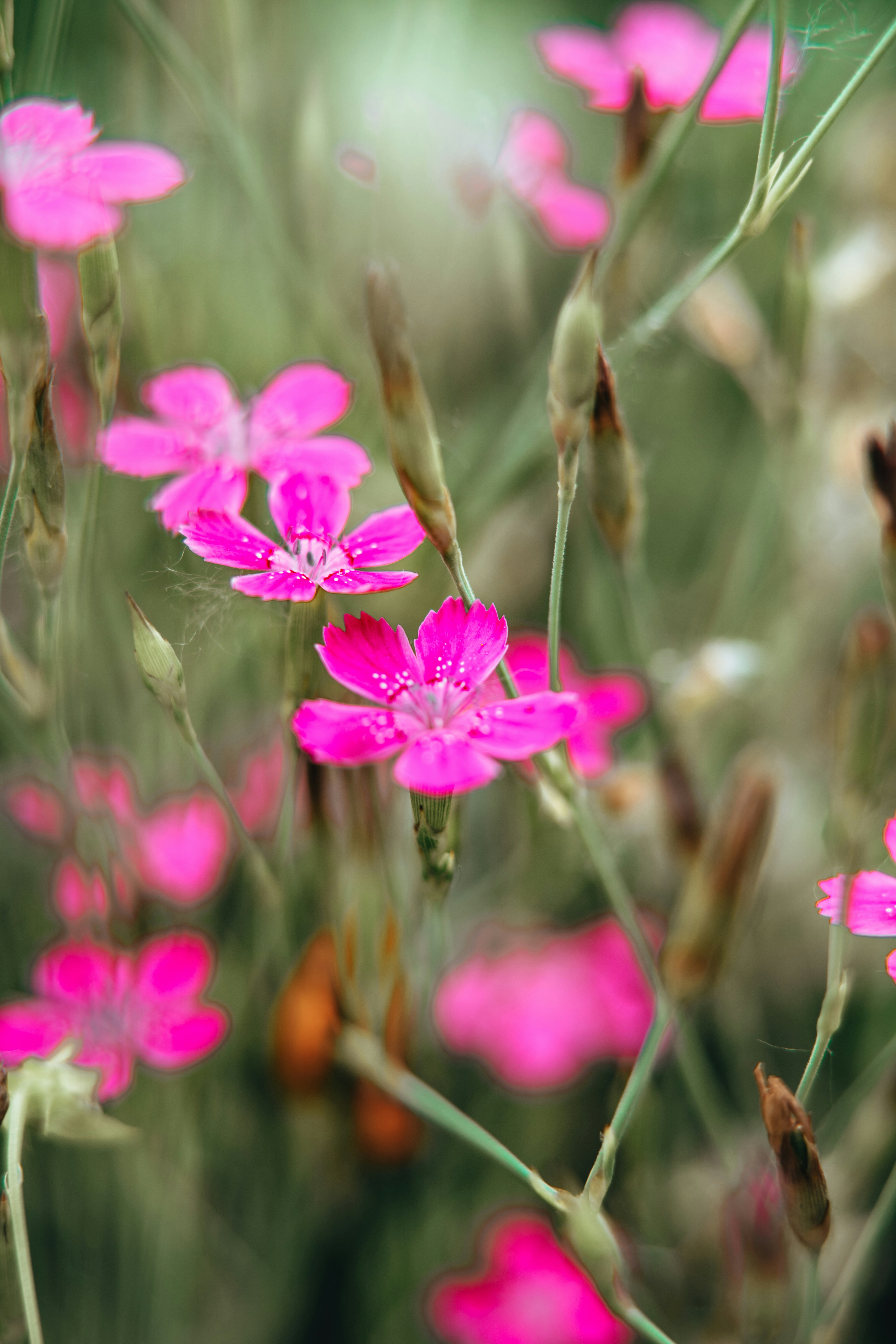 Photo by anamnesis33
