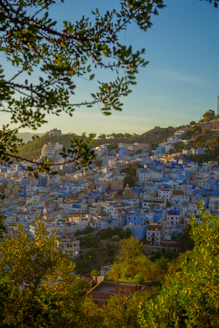 A view of a city from a hill