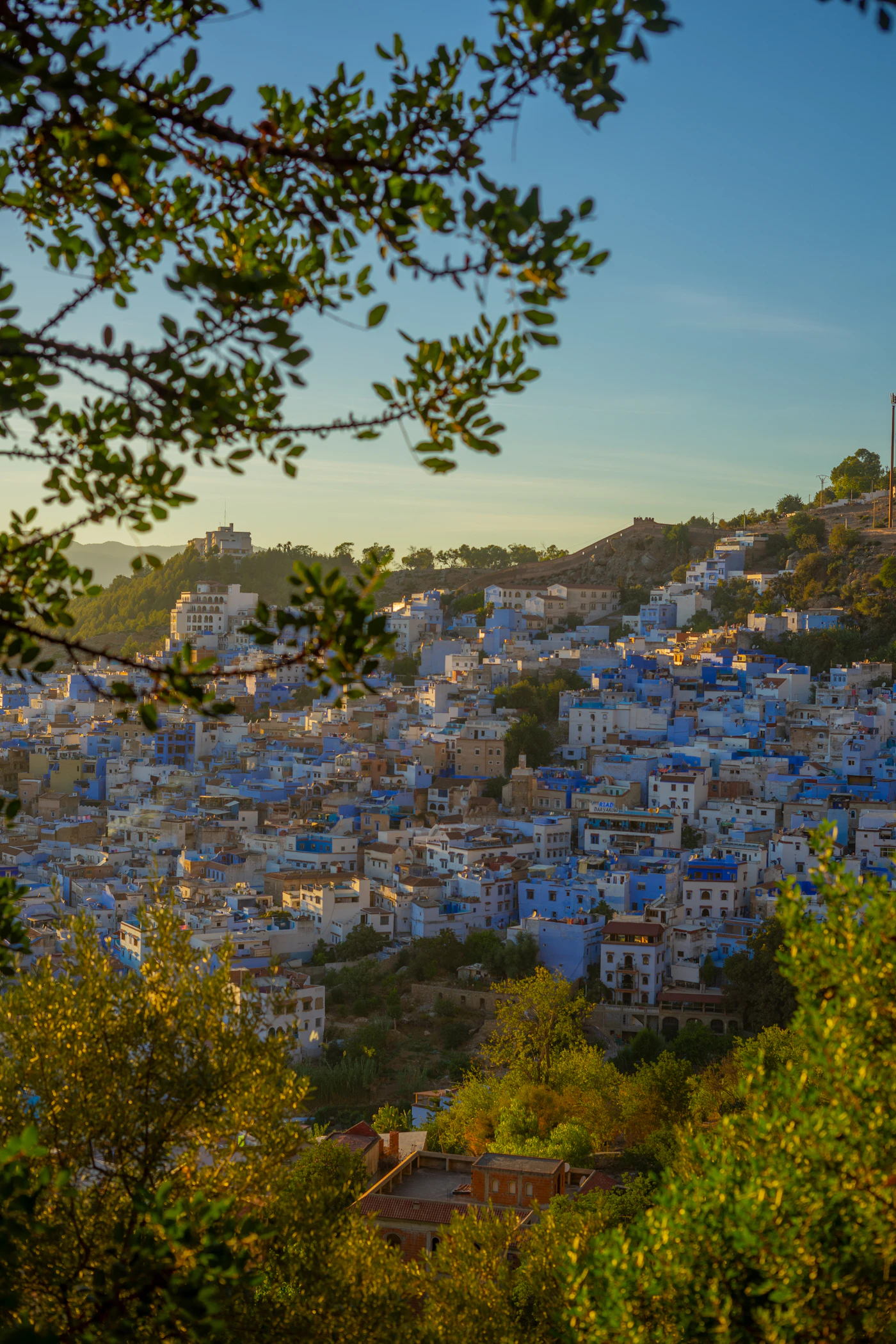 The blue houses of Chefchaouen climbing the hillside