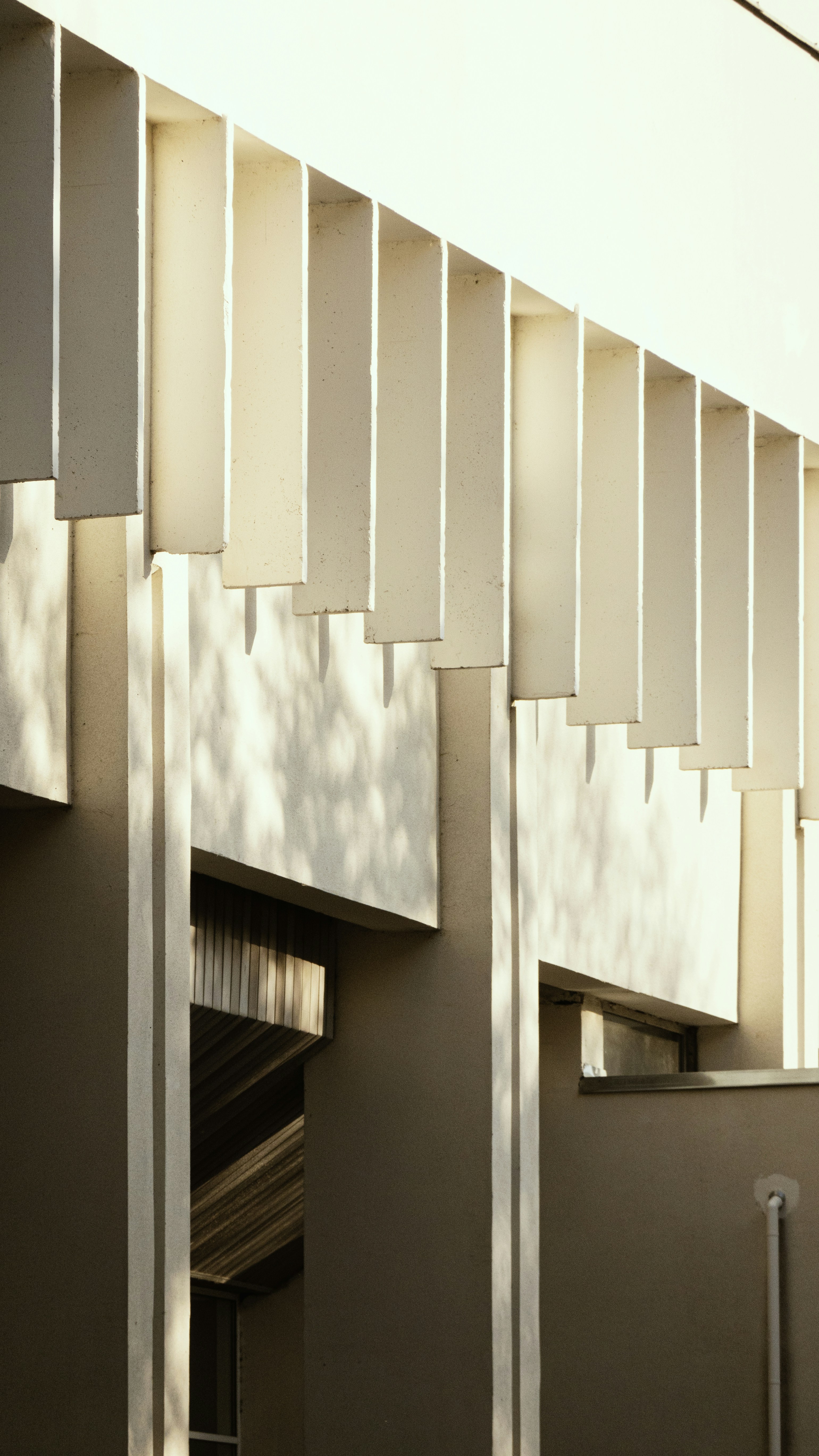 Photo by genius_loci