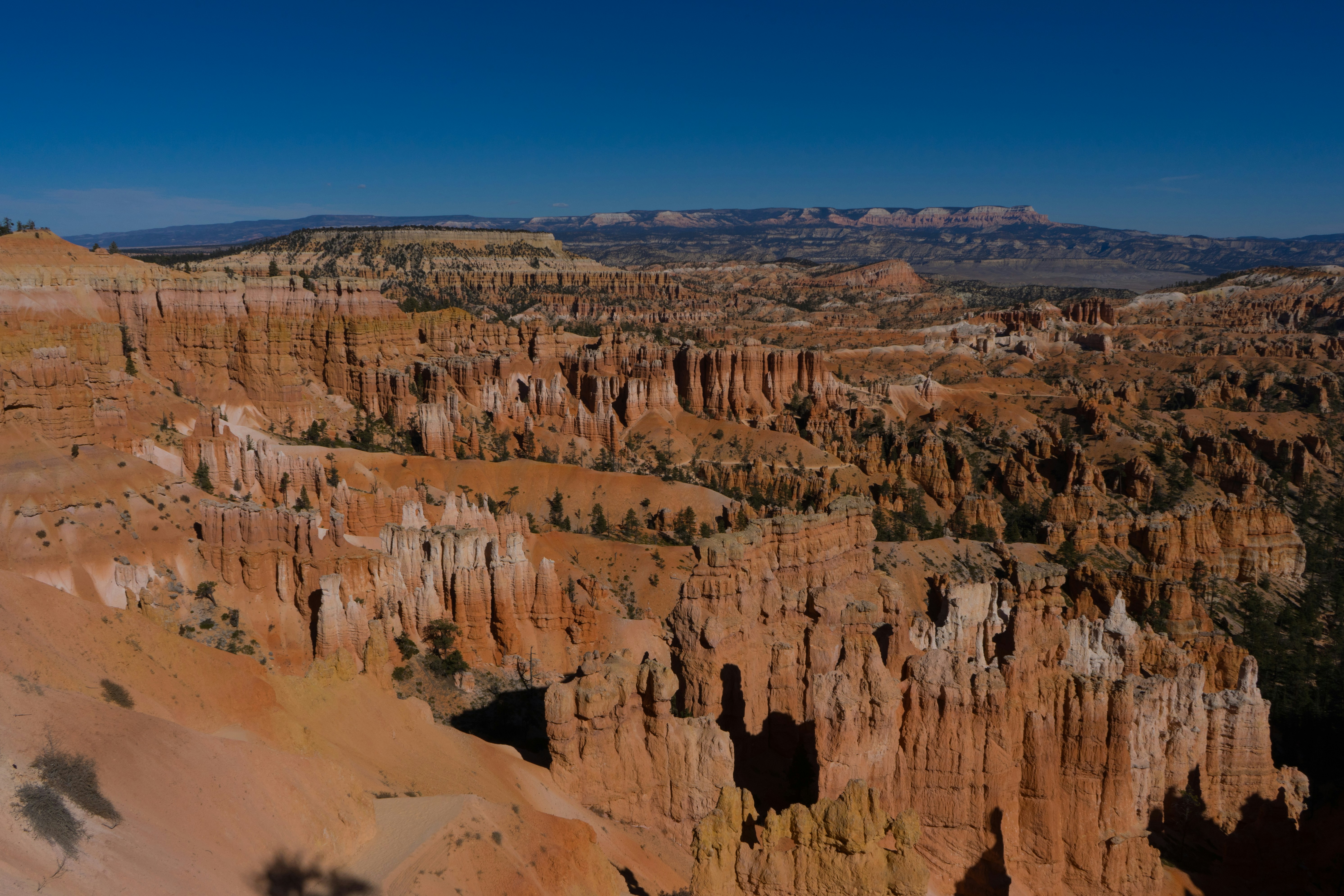 7 Hidden Gem National Parks in the U.S. With Fewer Crowds – A panoramic view of a canyon in the desert