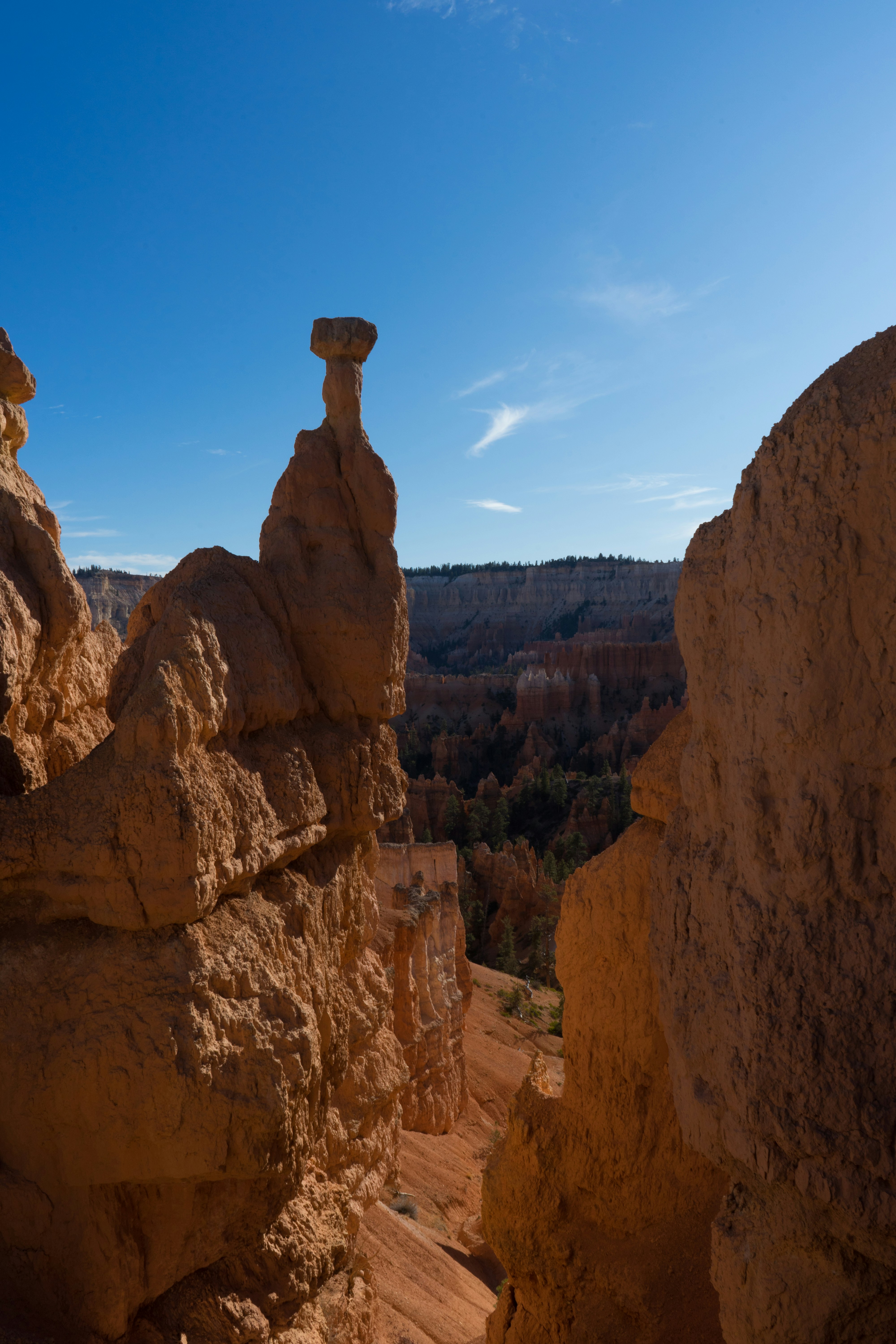 Photo by rockwell_branding_agency