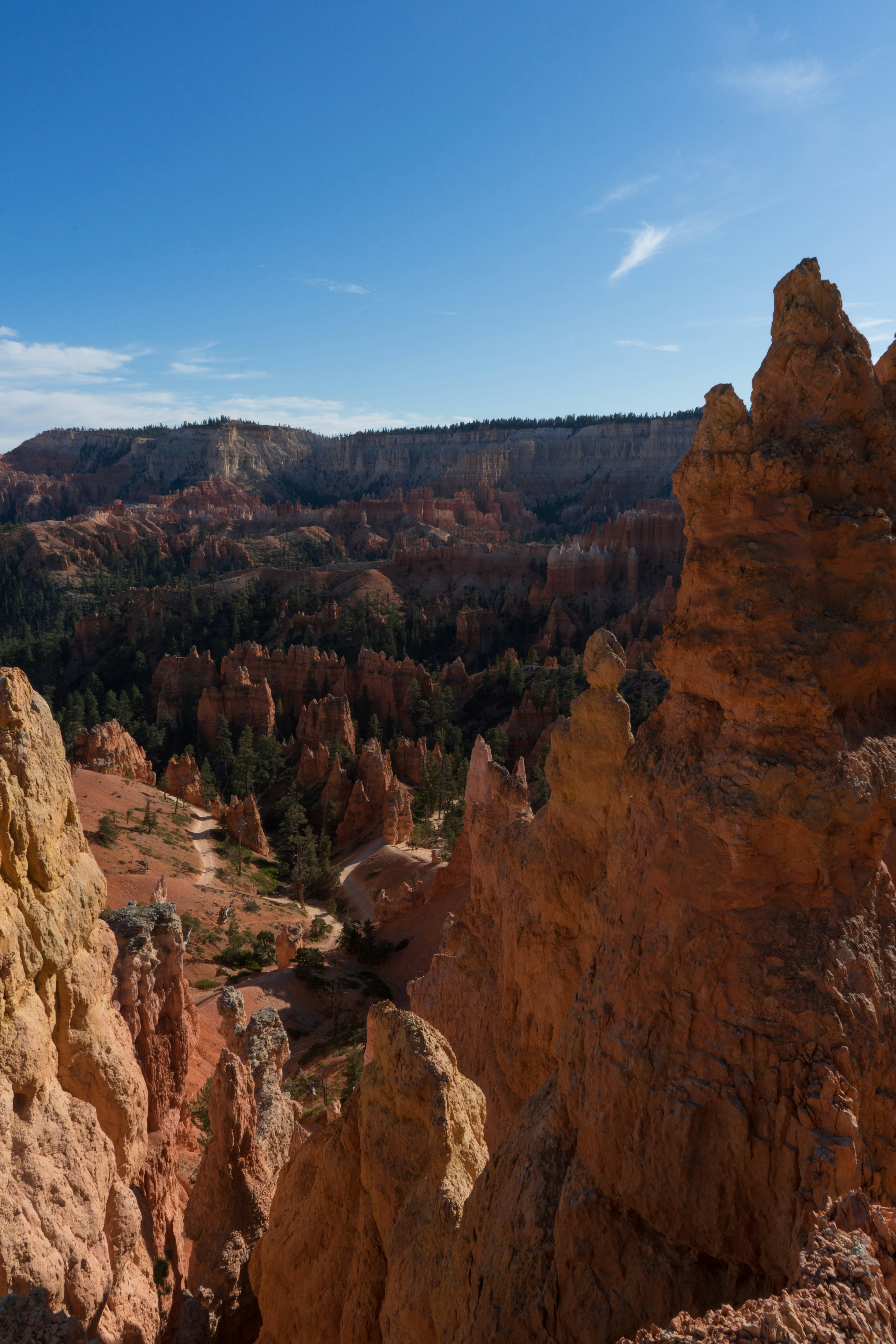 Photo by rockwell_branding_agency