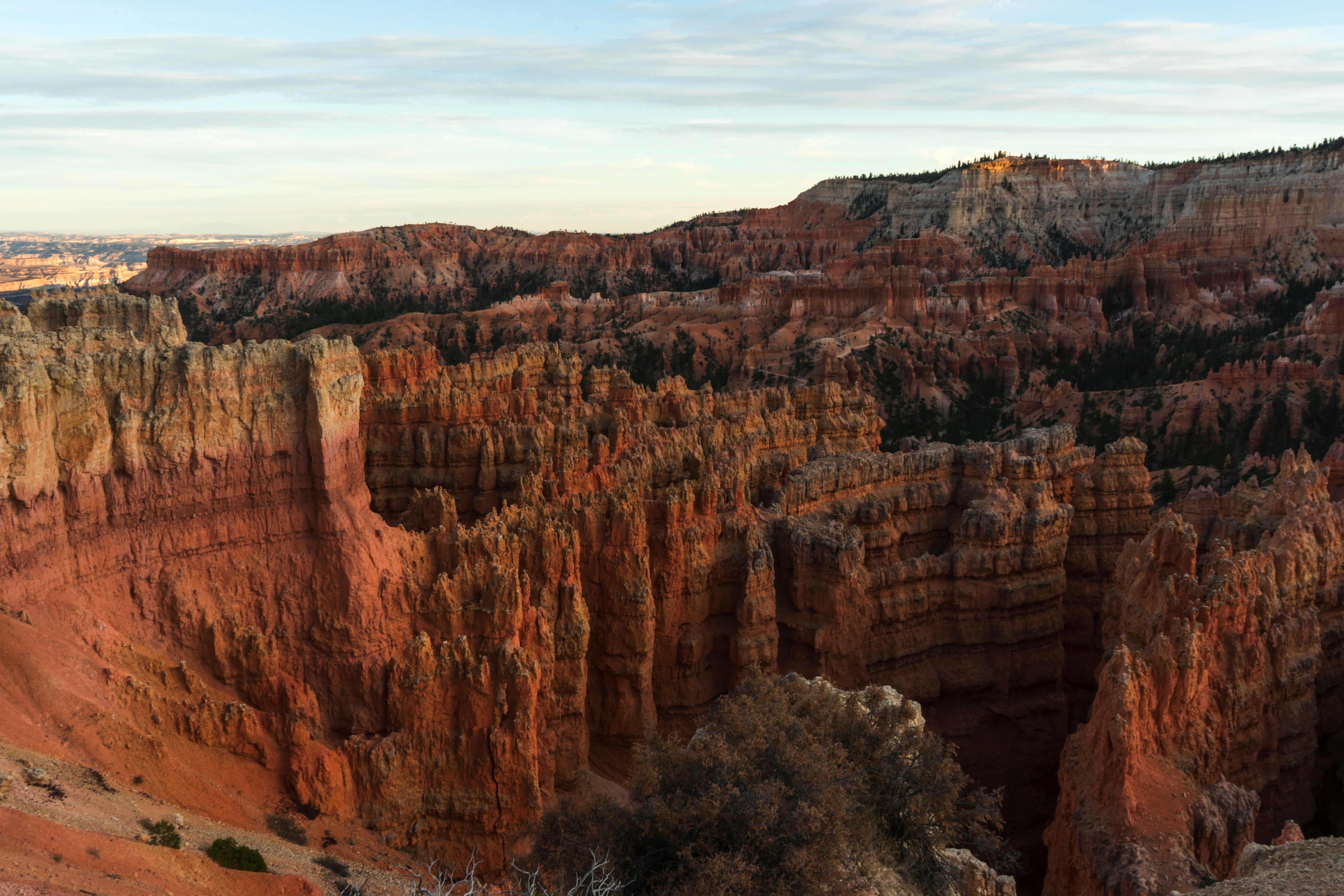 Photo by rockwell_branding_agency