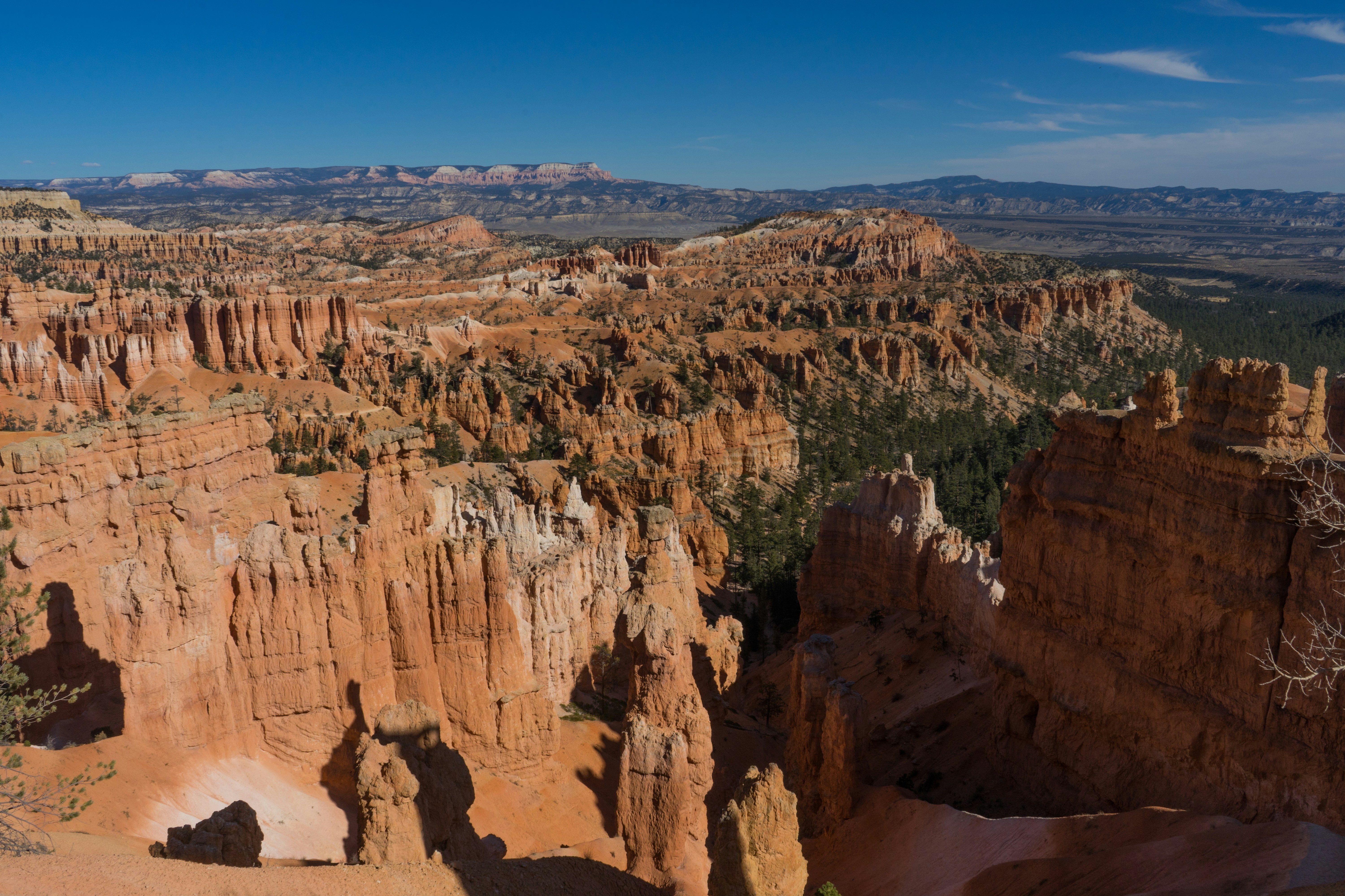 Photo by rockwell_branding_agency