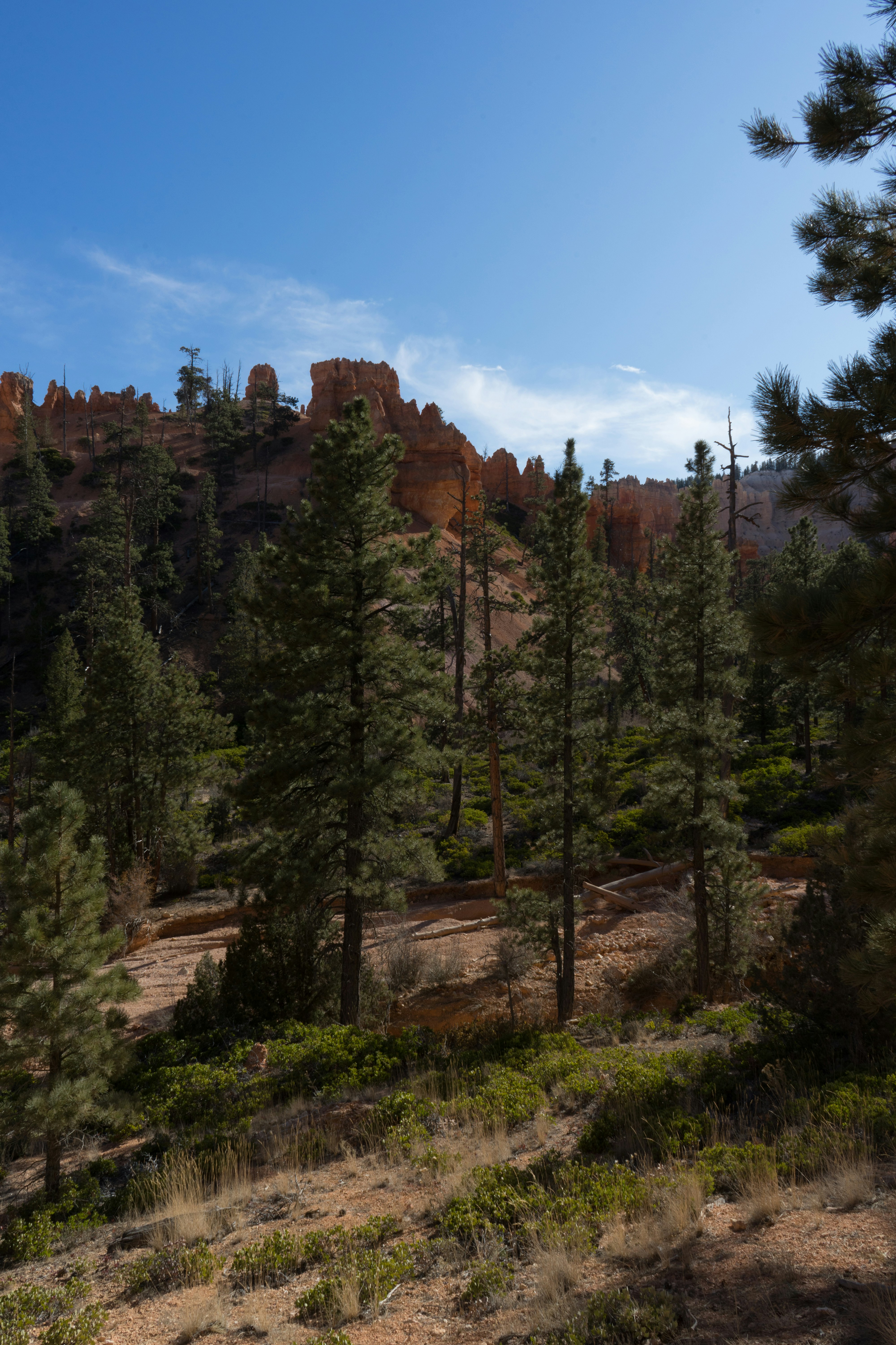 Photo by rockwell_branding_agency