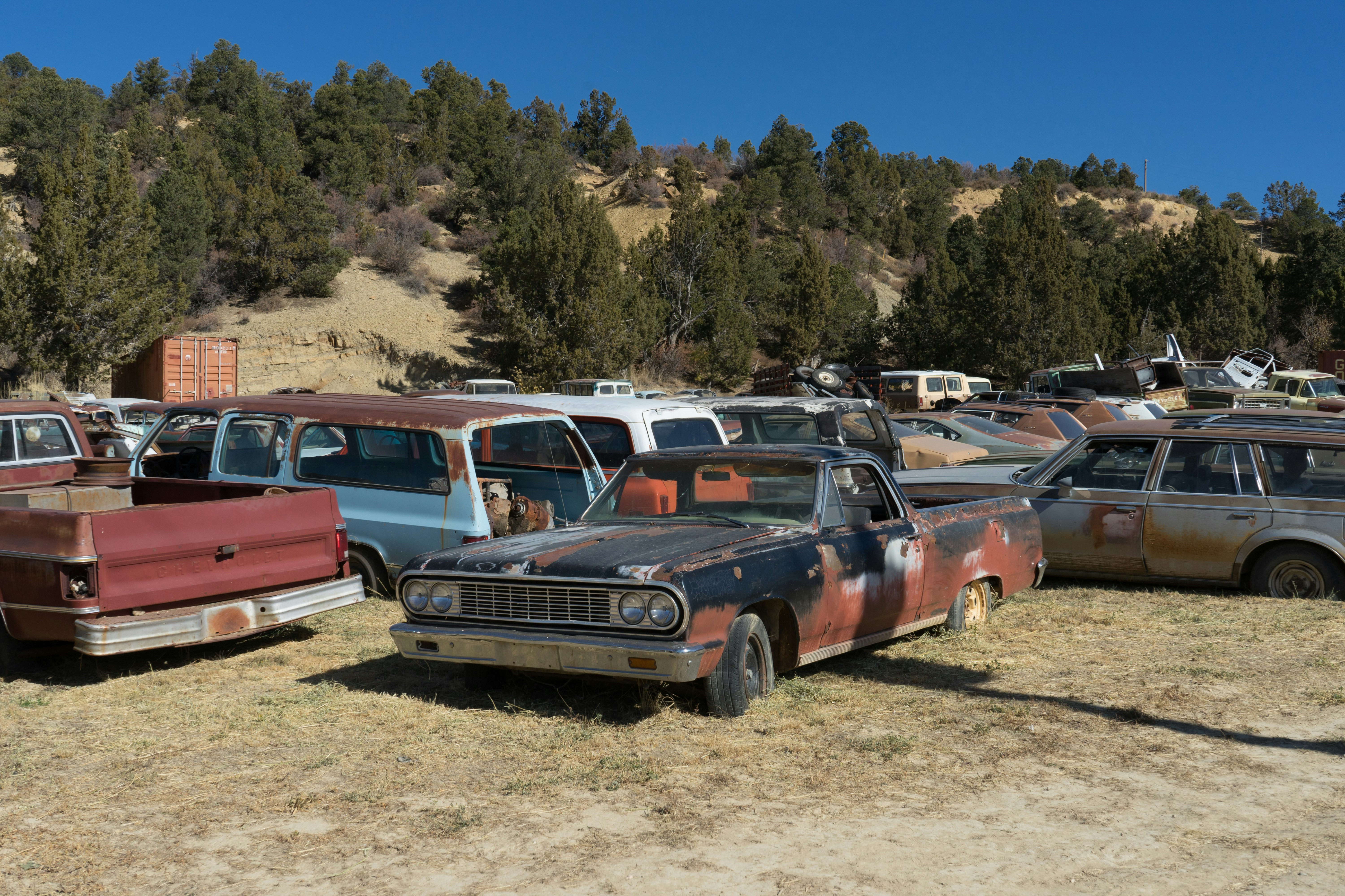 Row of used electric pickup trucks parked at a dealership lot