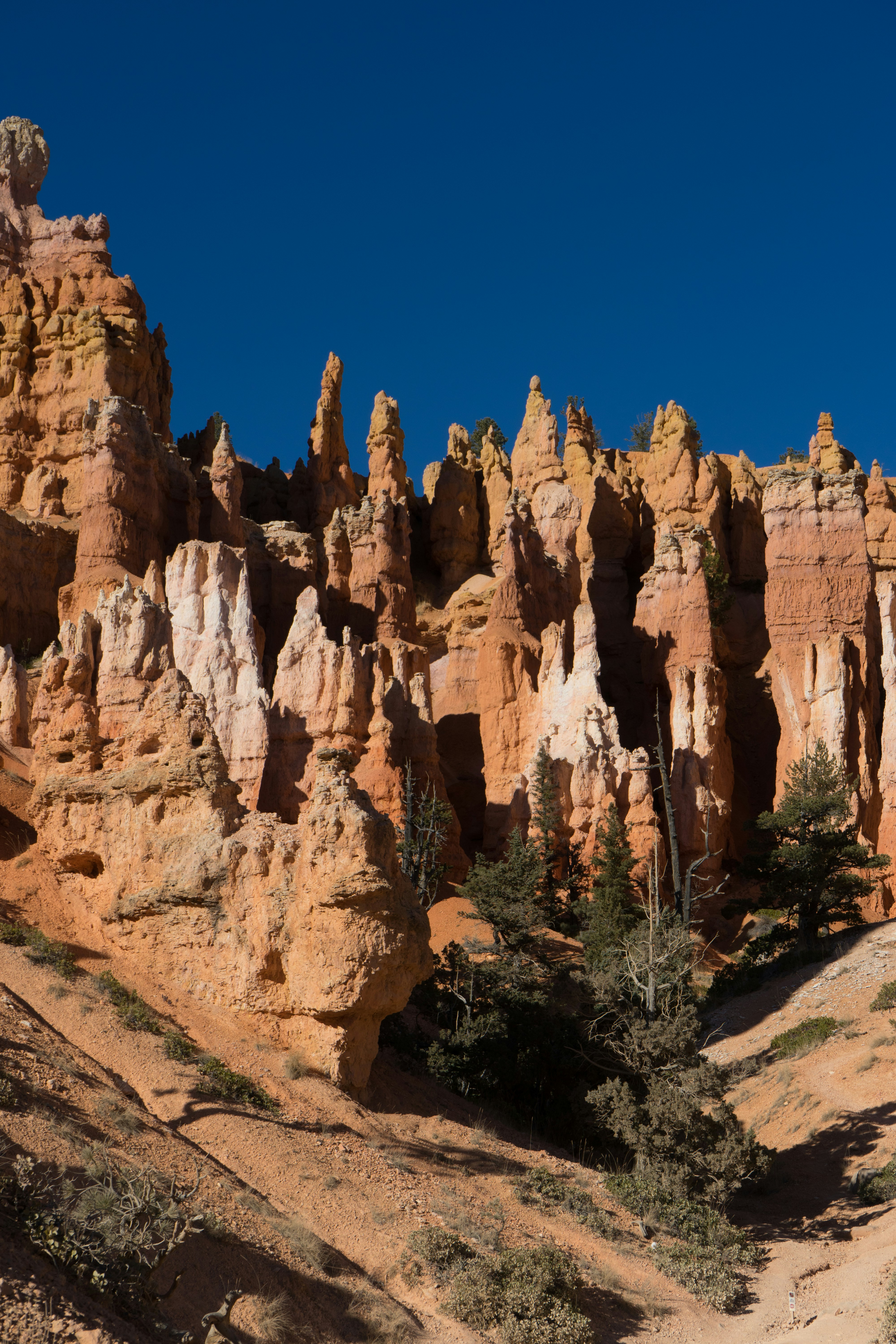 Photo by rockwell_branding_agency