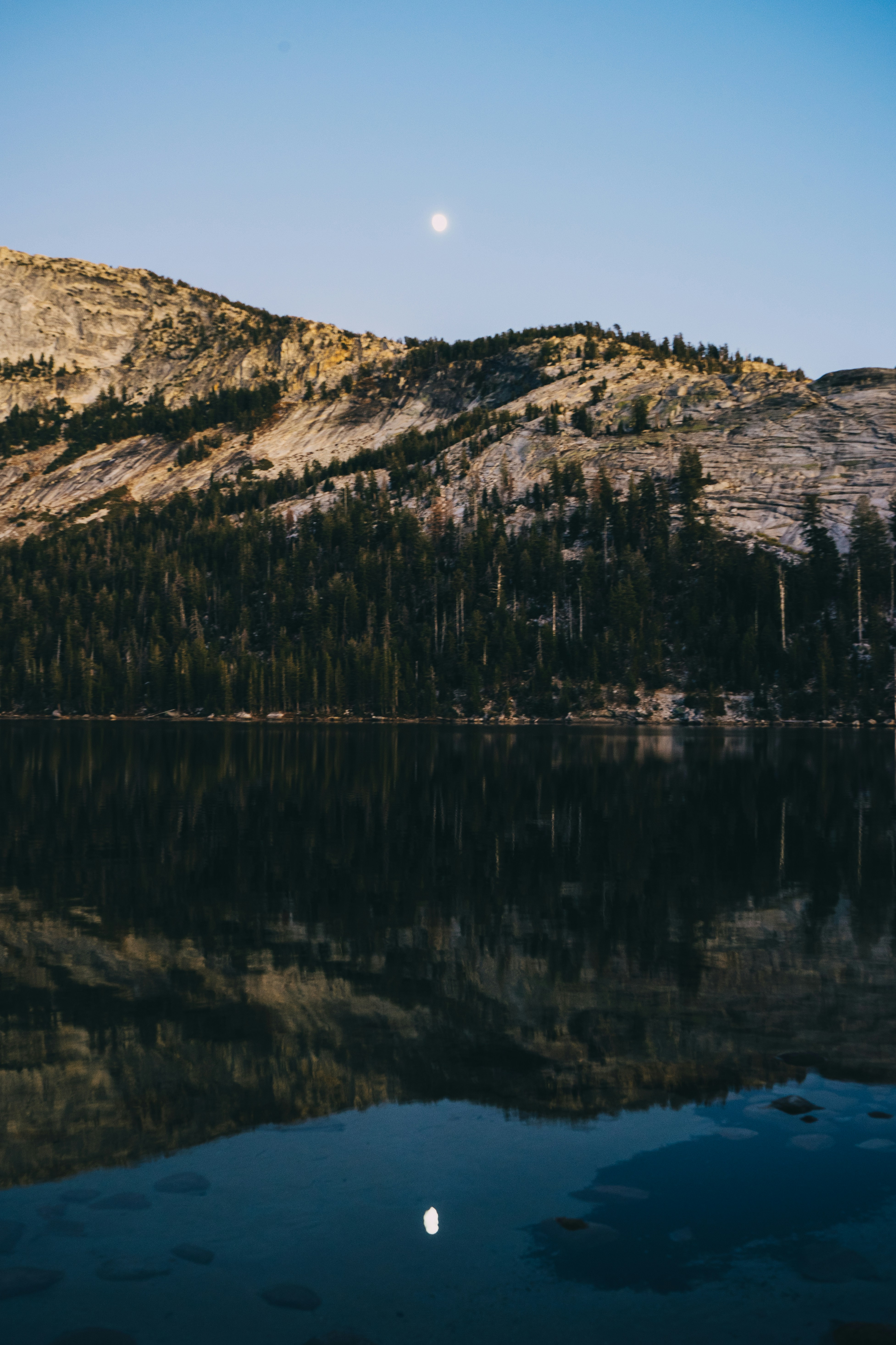 Photo by rockwell_branding_agency