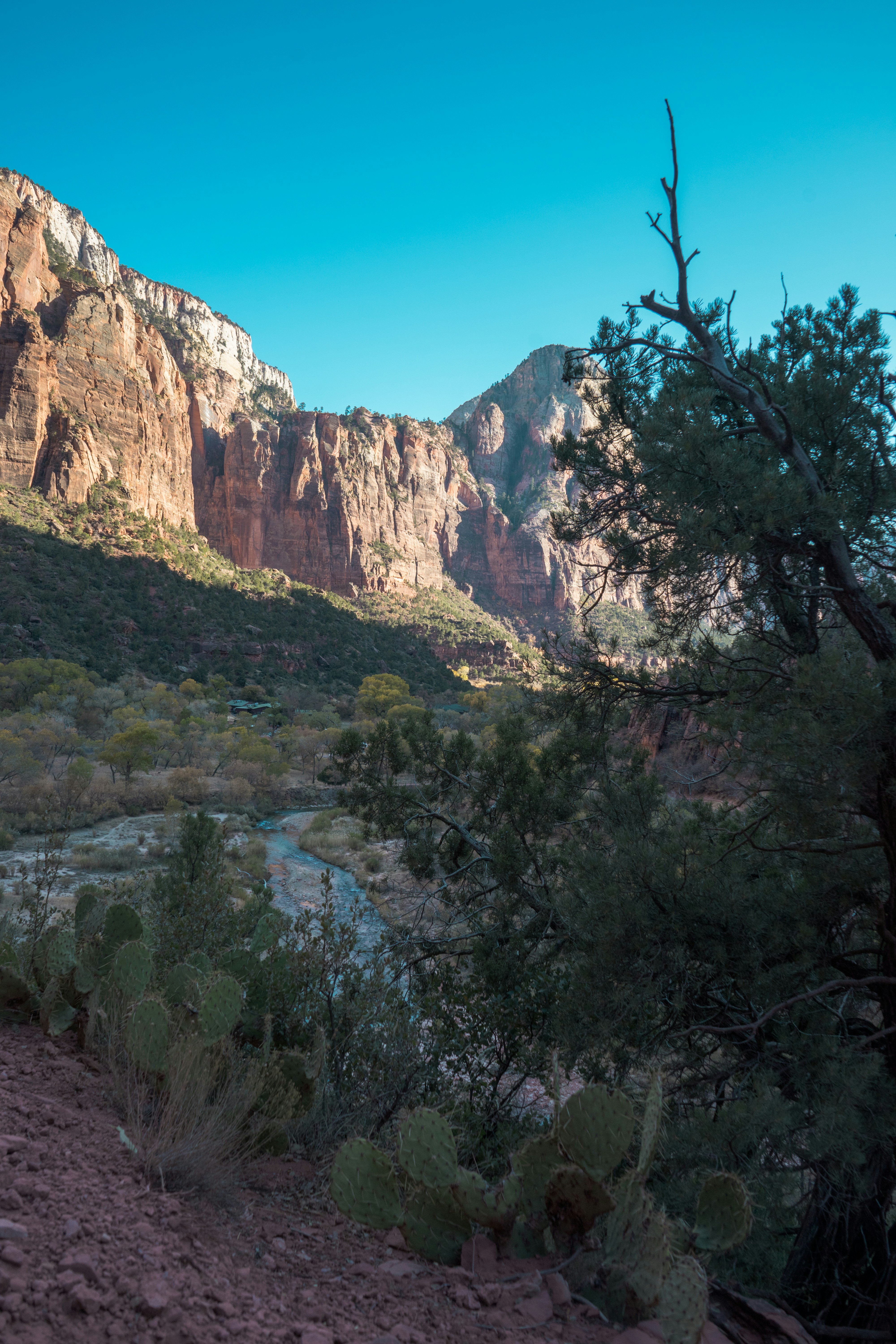 Photo by rockwell_branding_agency