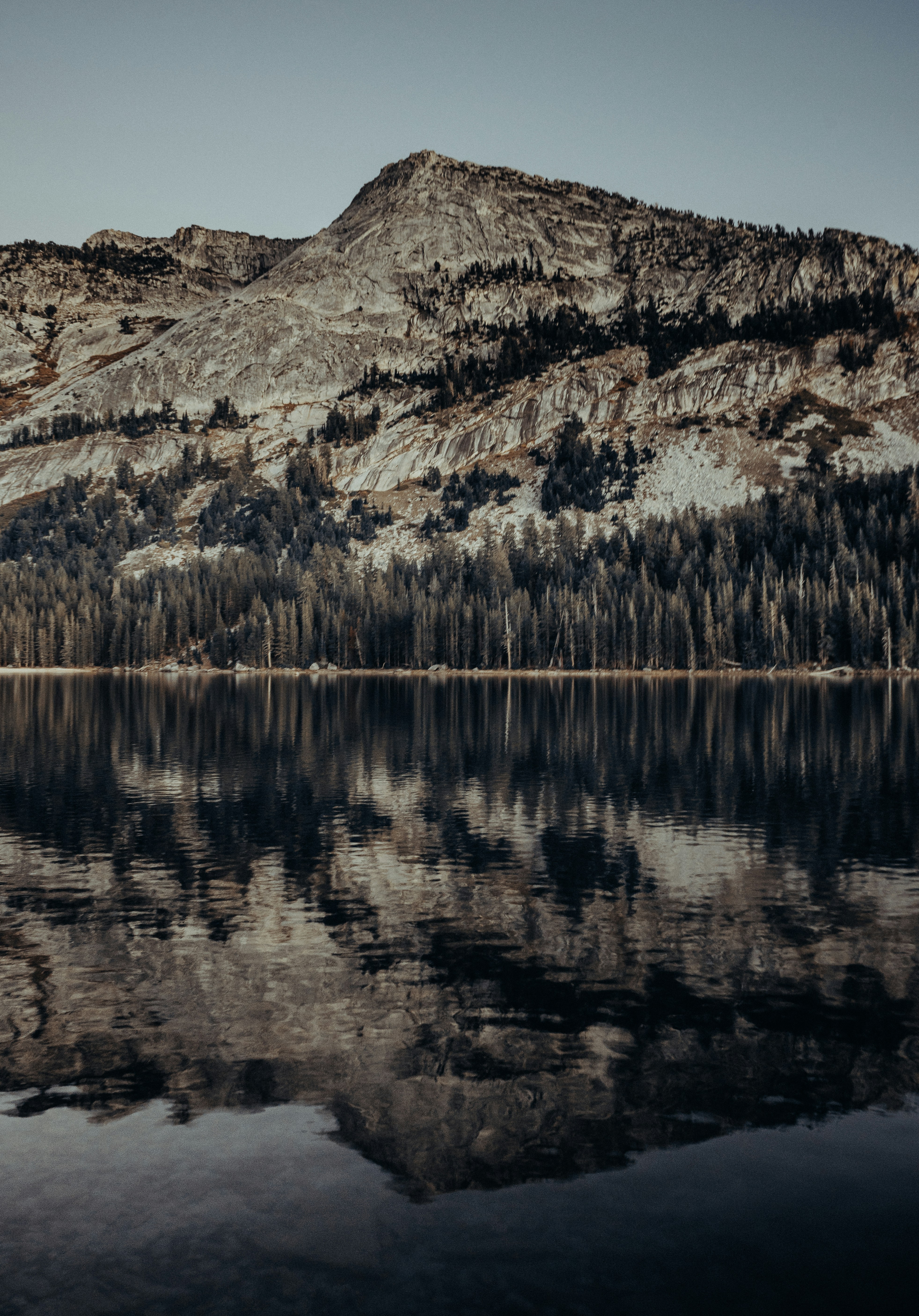 Photo by rockwell_branding_agency