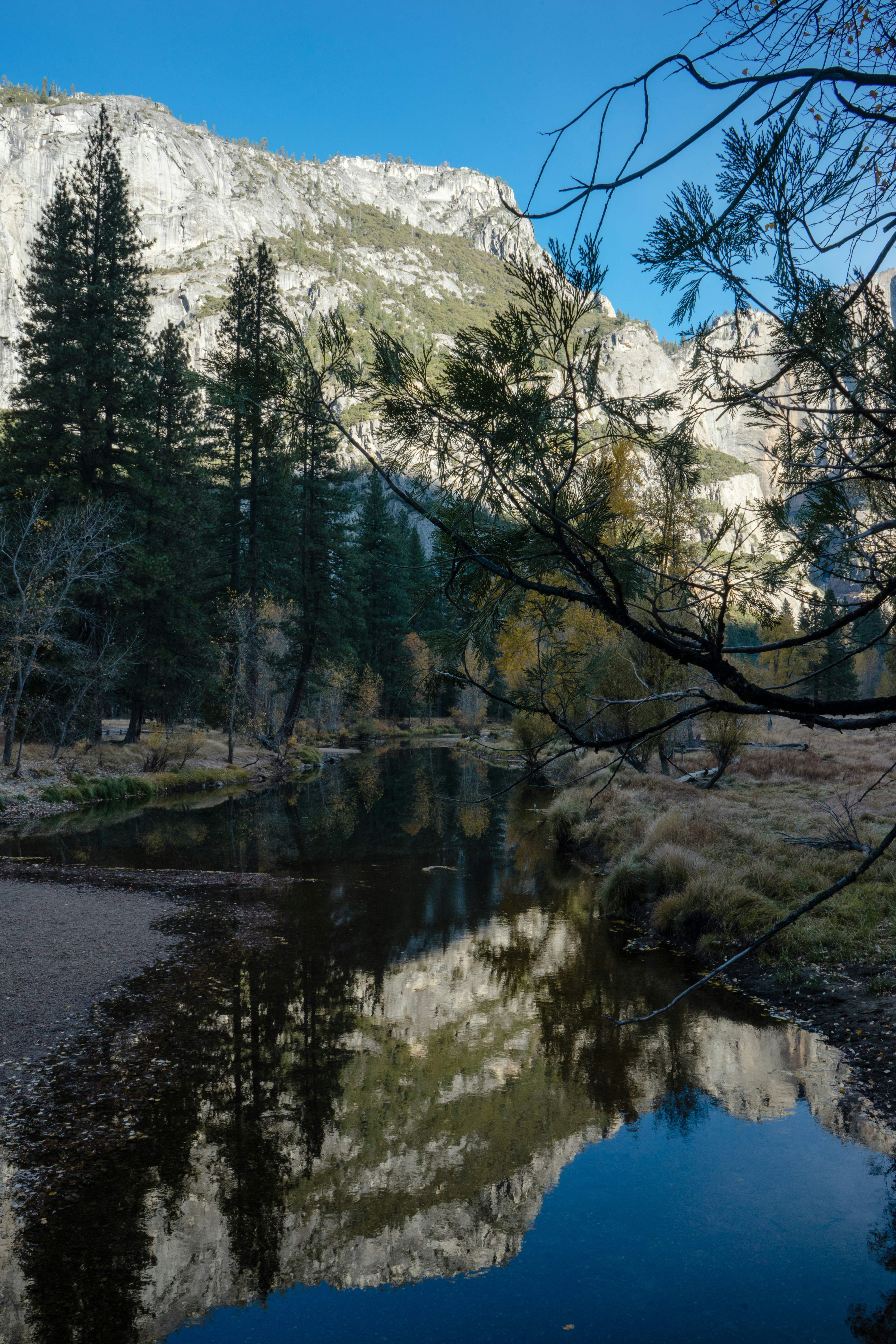 Photo by rockwell_branding_agency