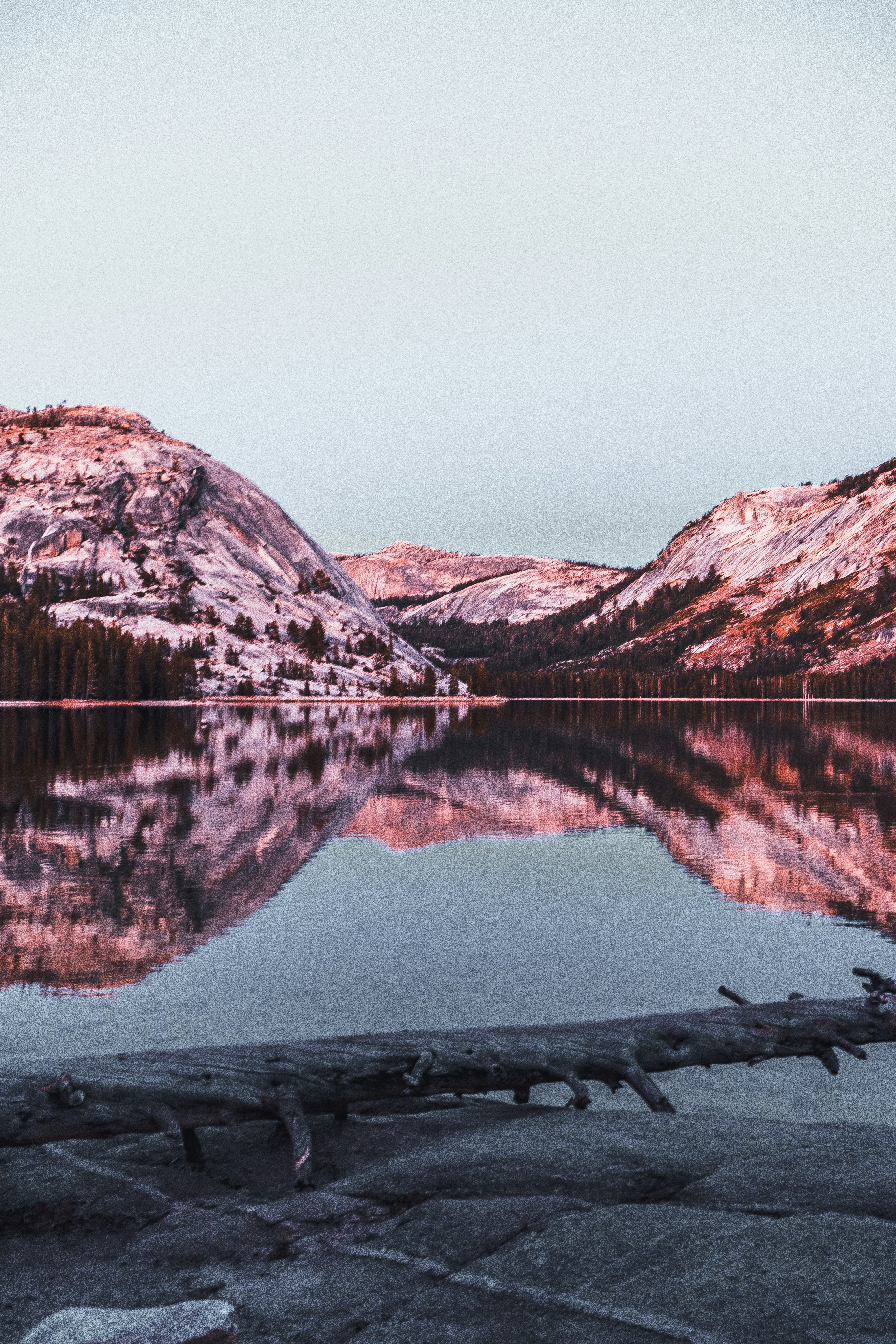 Photo by rockwell_branding_agency