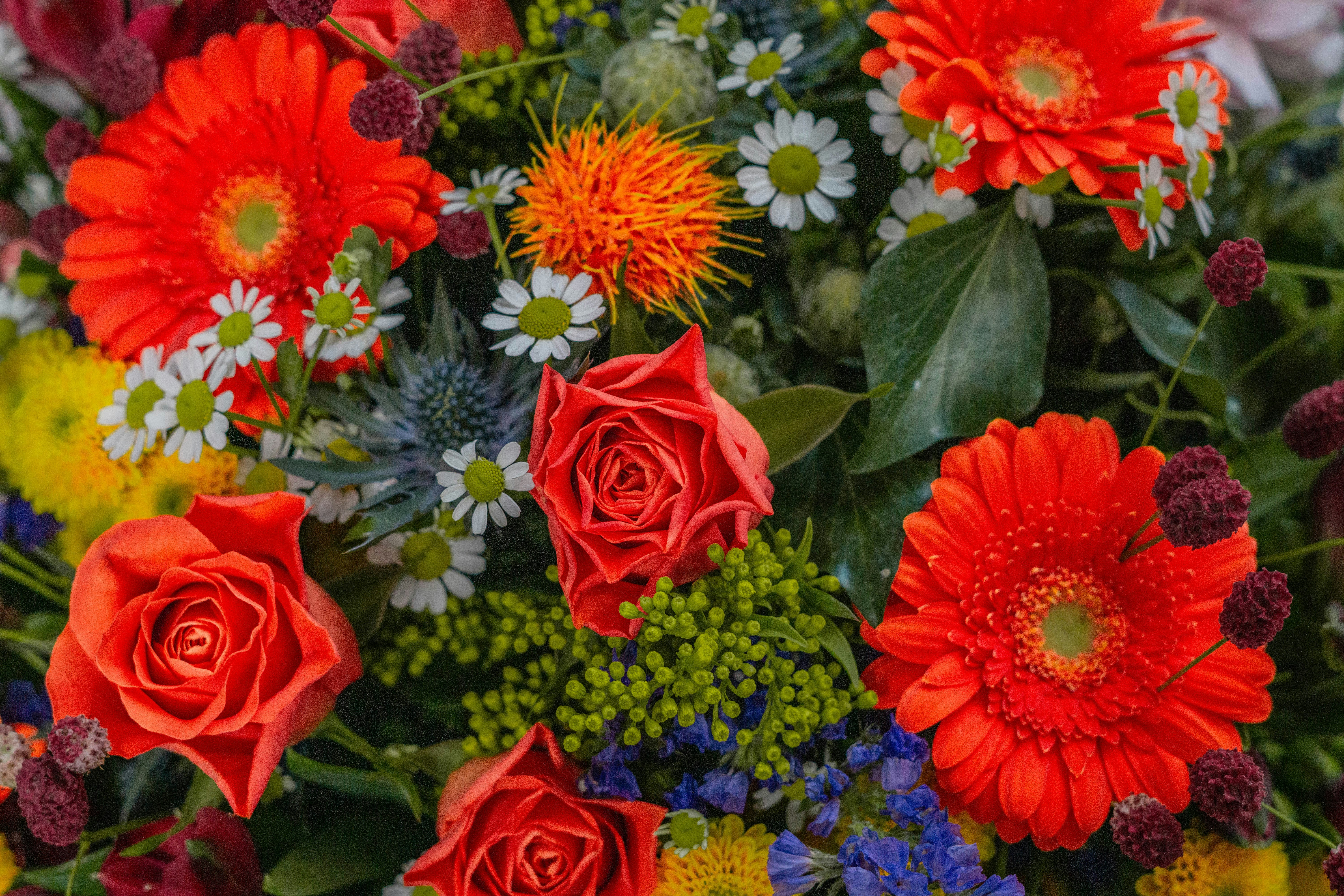 Photo by robertschwarz