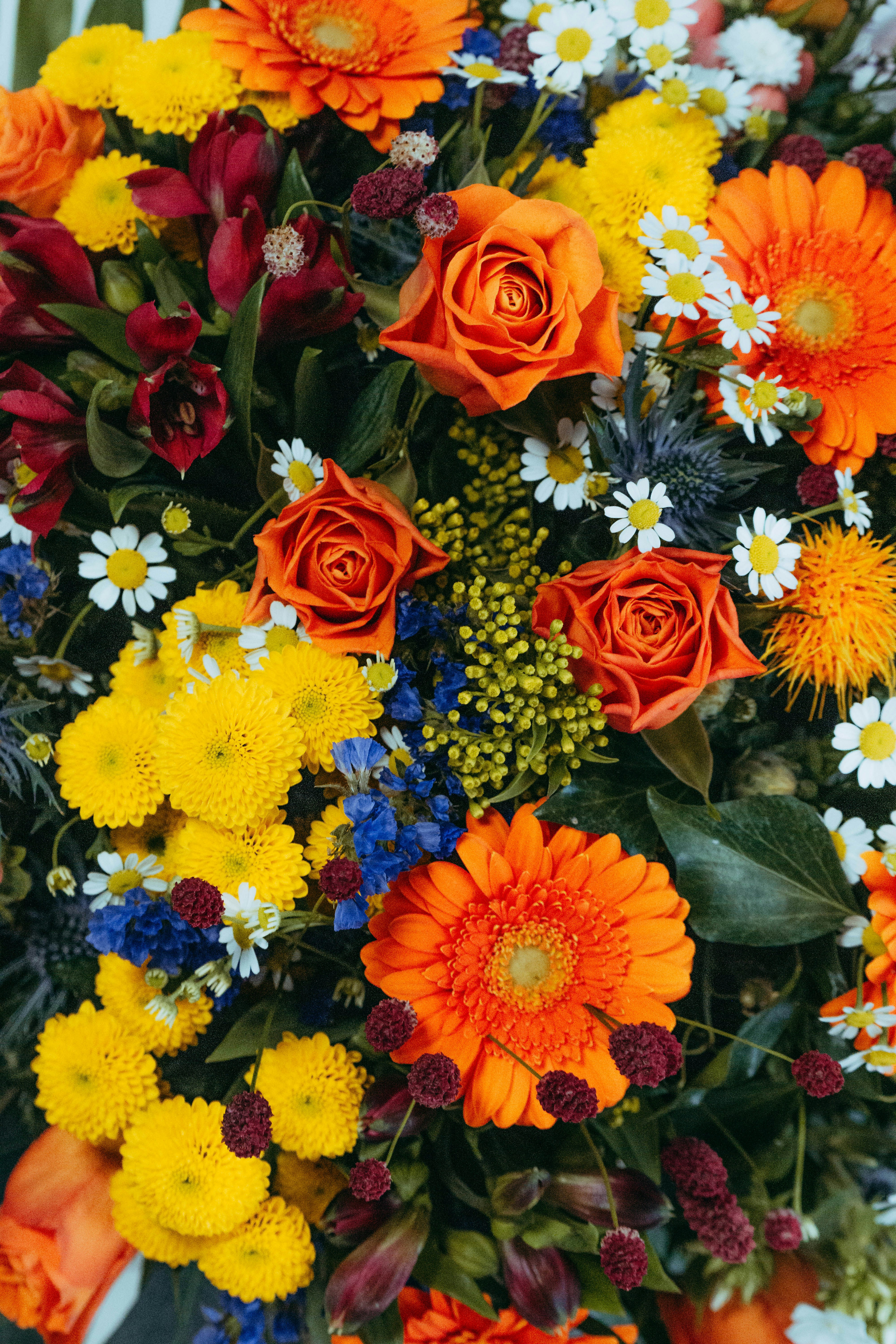 Photo by robertschwarz