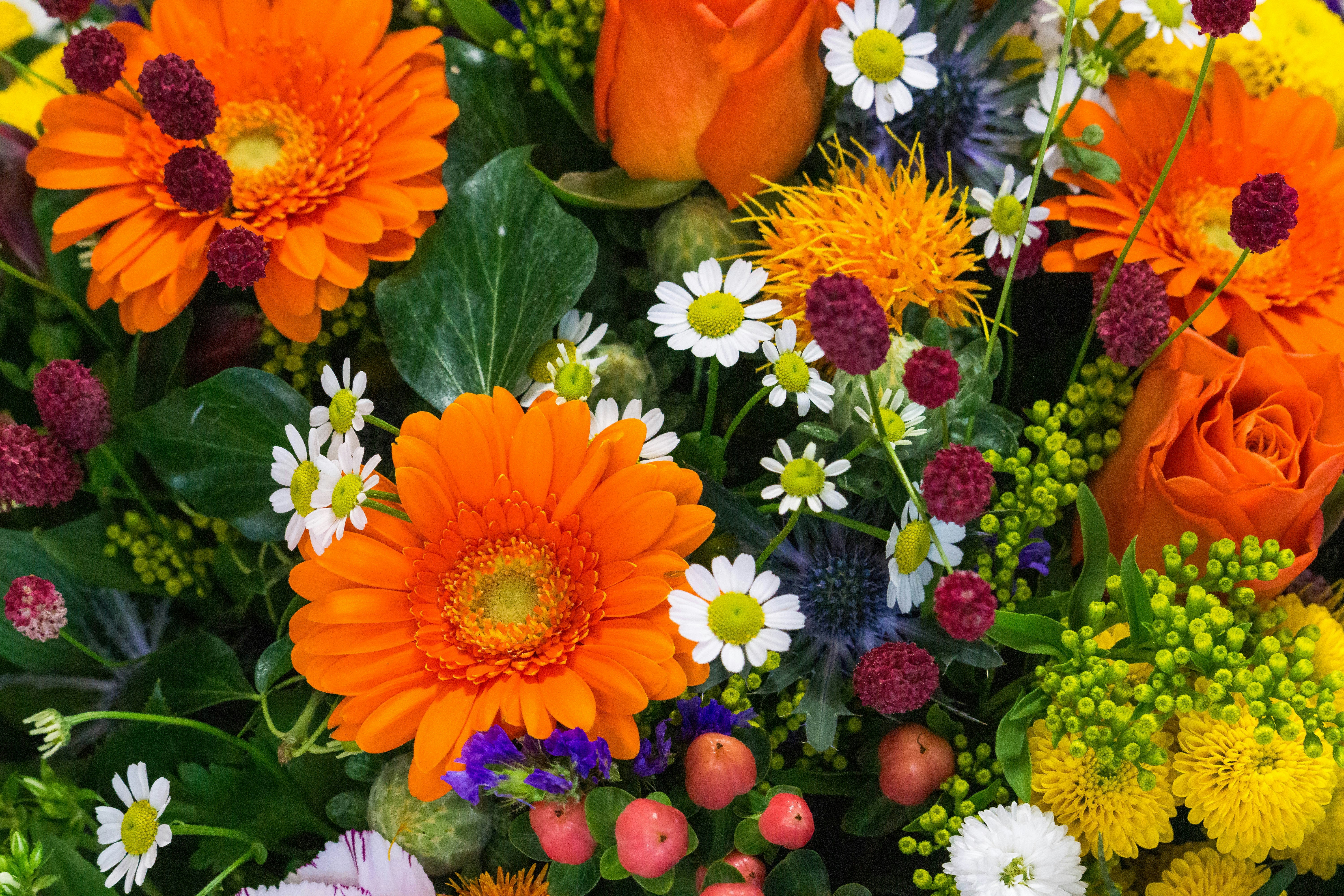 Illustration for How to Choose the Perfect Funeral Flowers: Start with Meaning and Memory related to how to choose the perfect funeral flowers