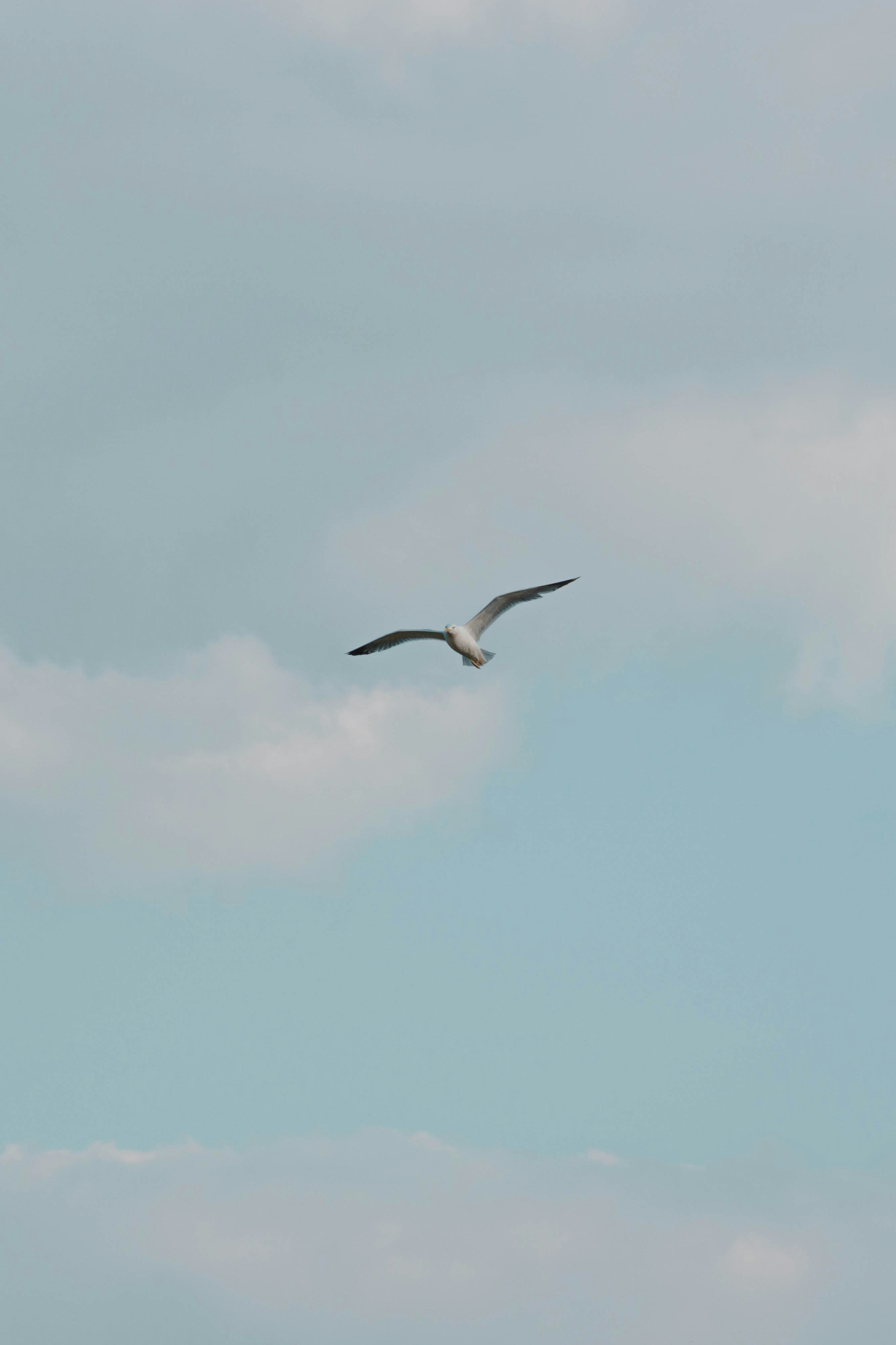 Photo by robertschwarz