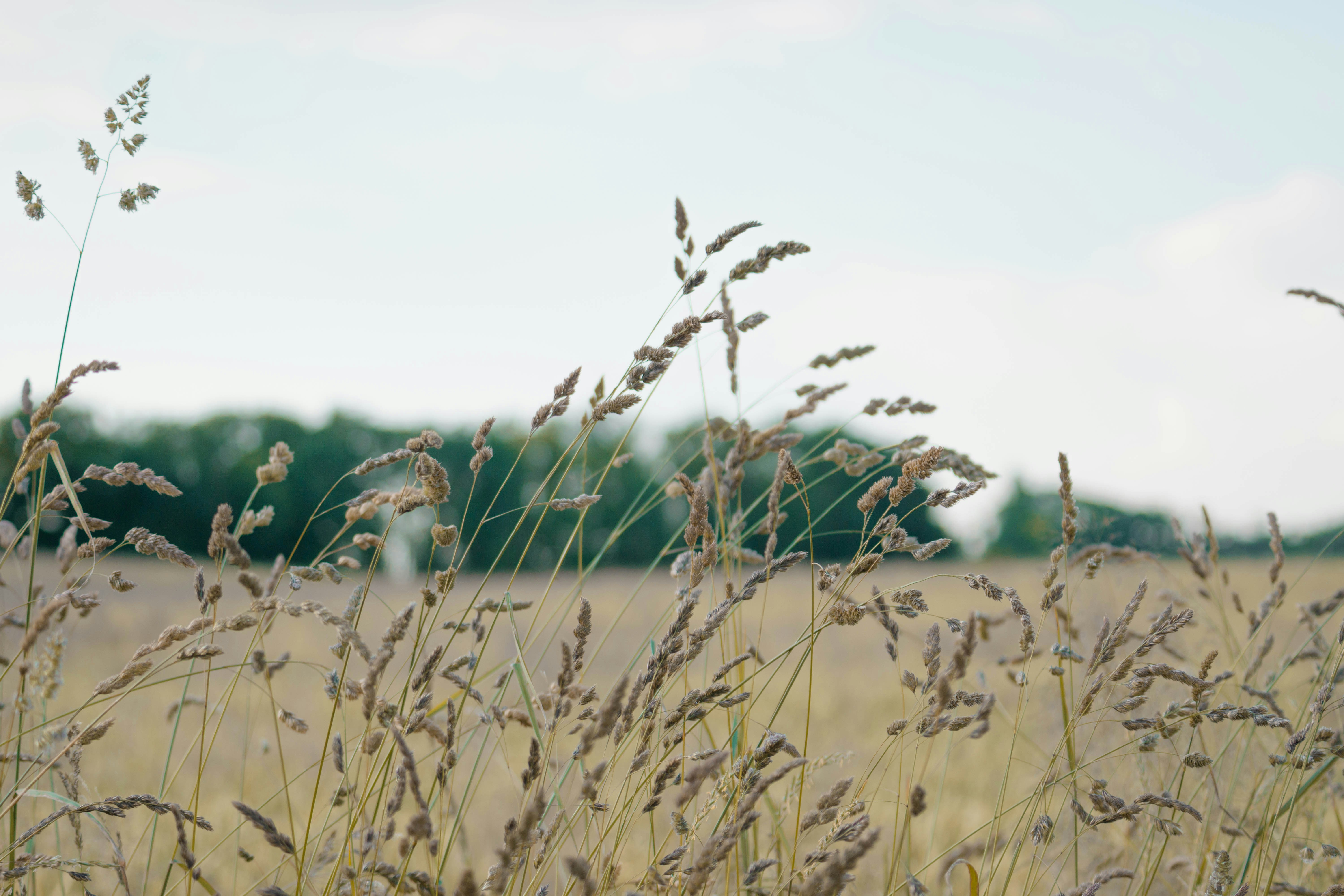 Photo by robertschwarz