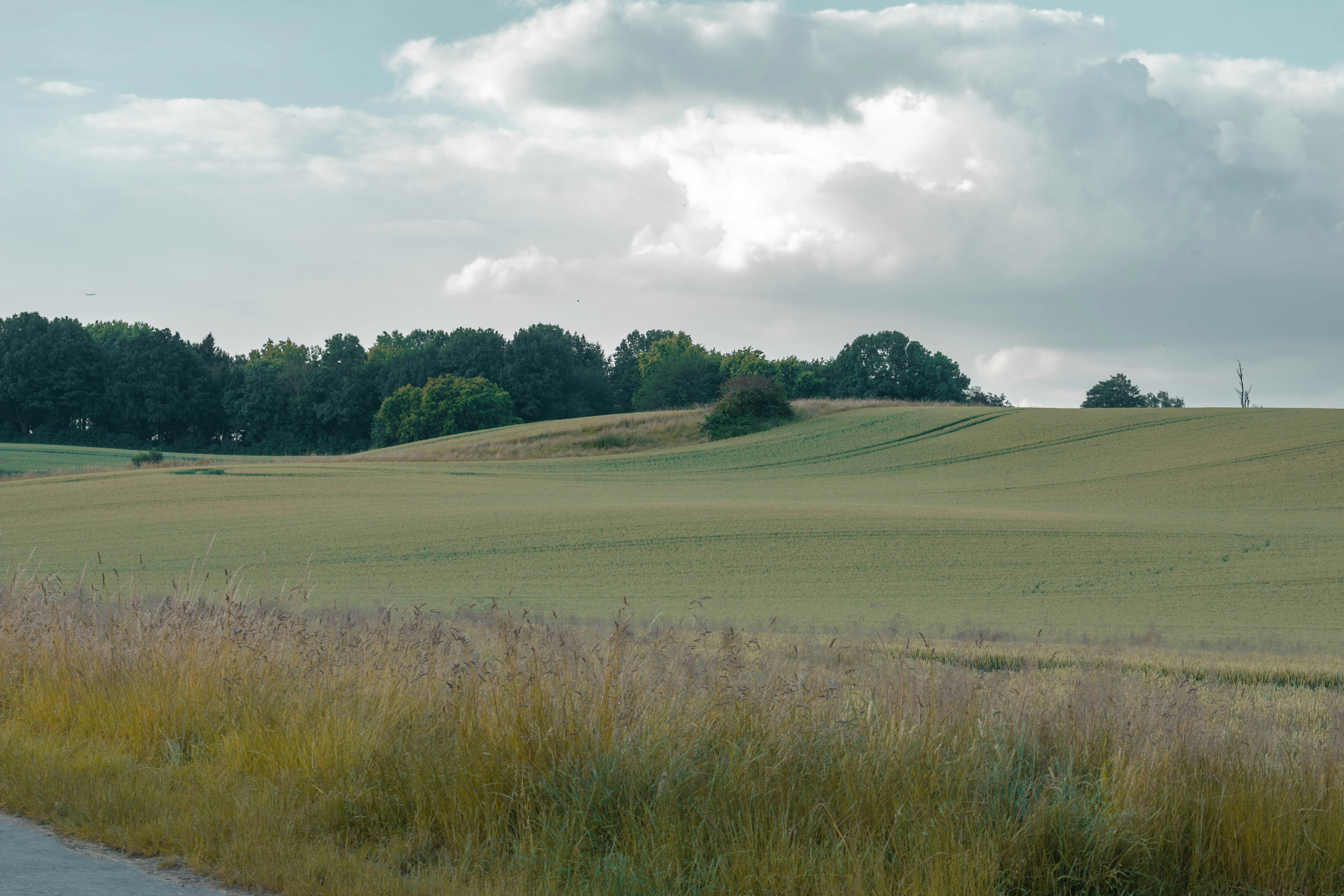 Photo by robertschwarz