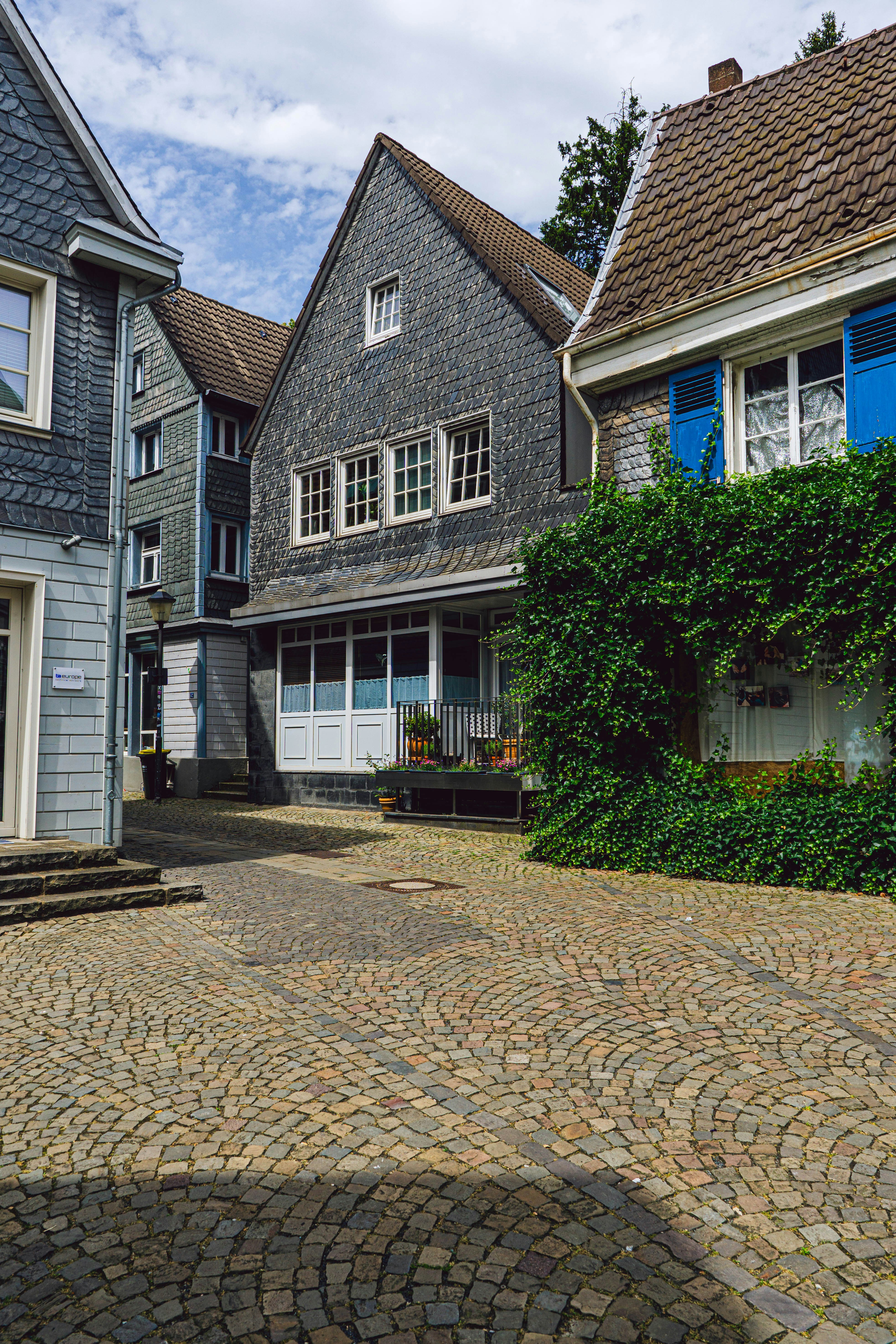 A cobblestone street in a residential neighborhood