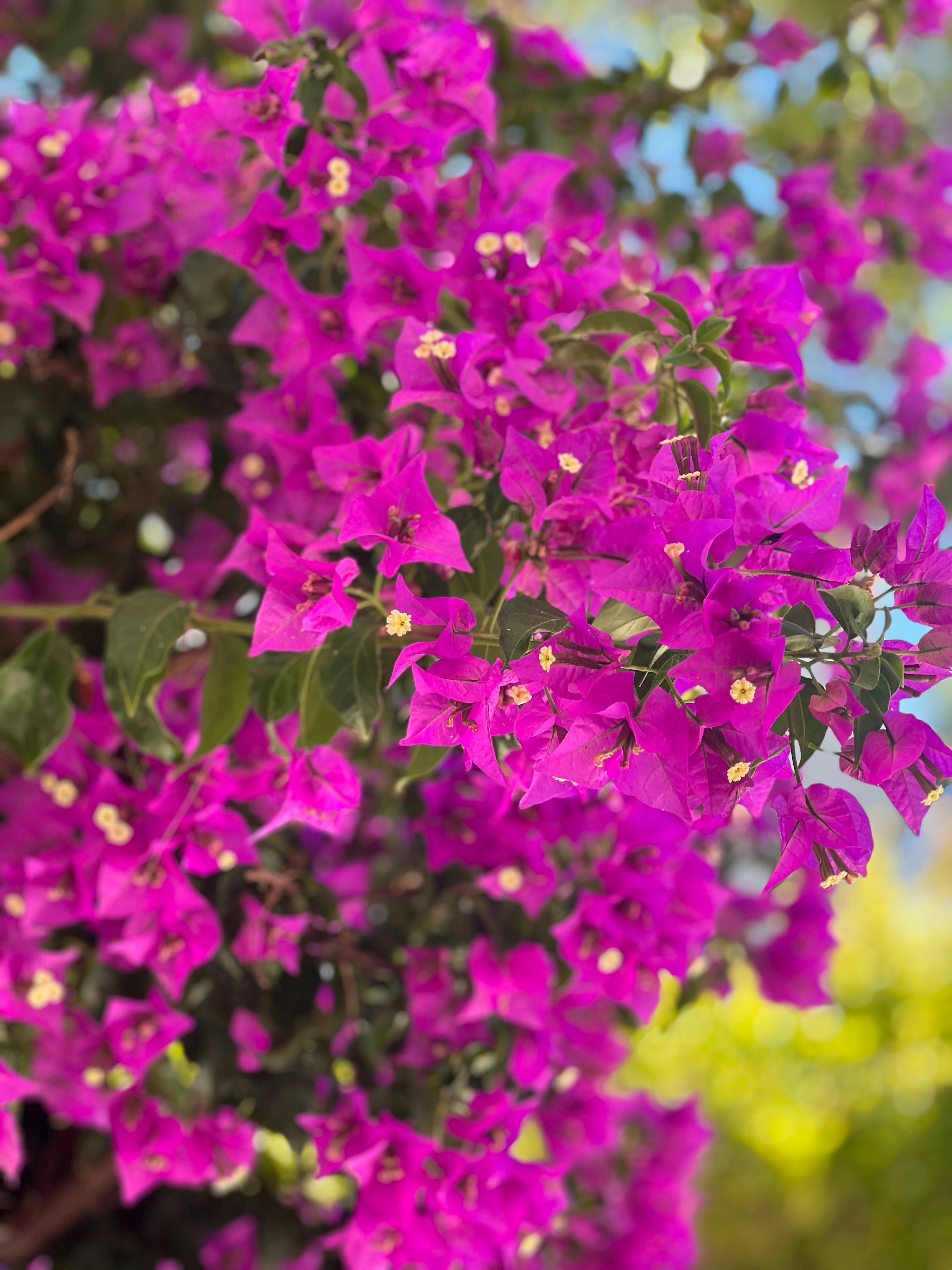 Photo by guidetoloveloss