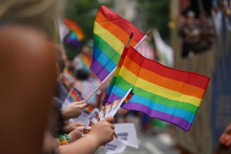 A group of people holding a rainbow flag