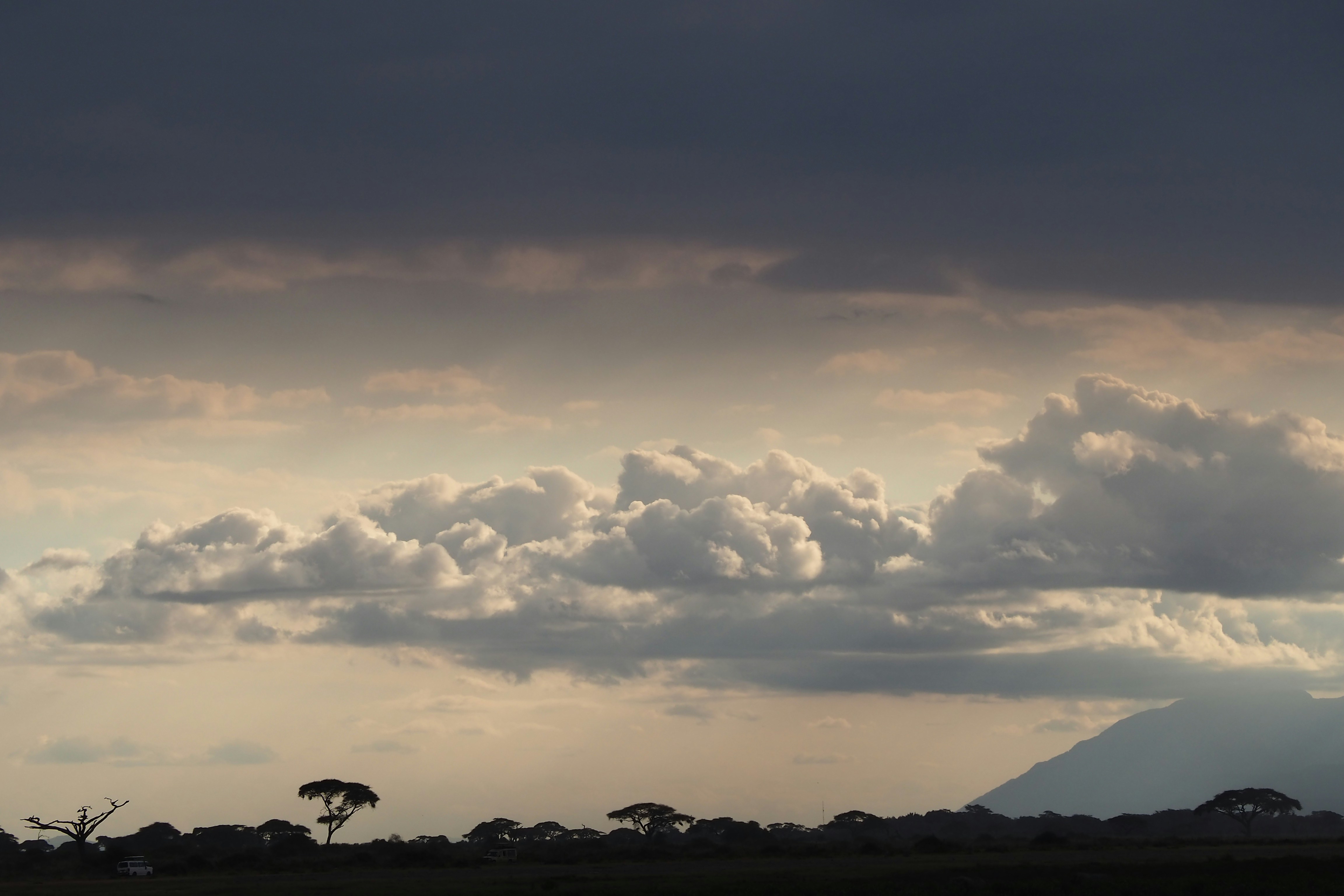 Une girafe debout sur un champ verdoyant sous un ciel nuageux