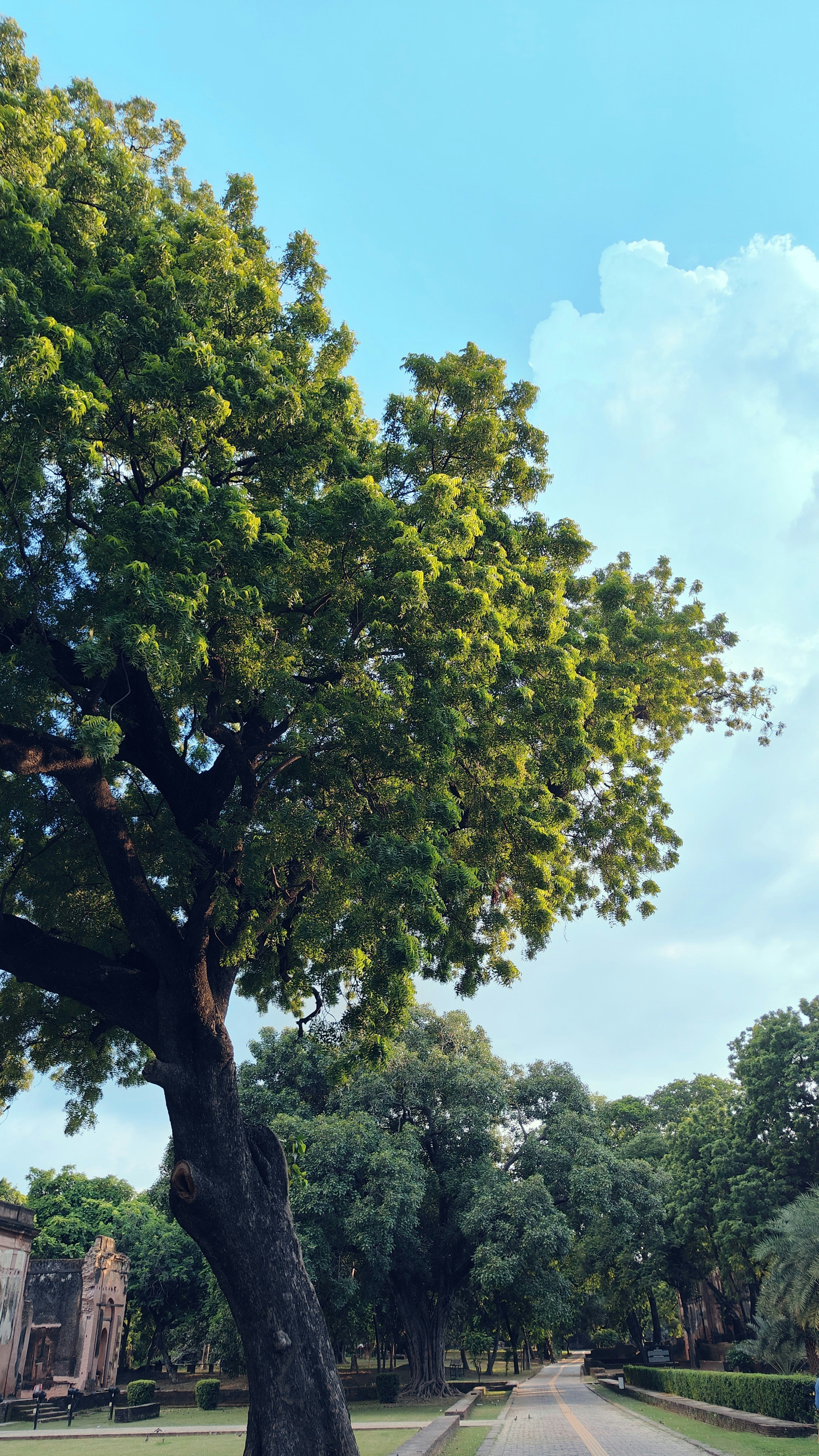 Photo by the_old_threads