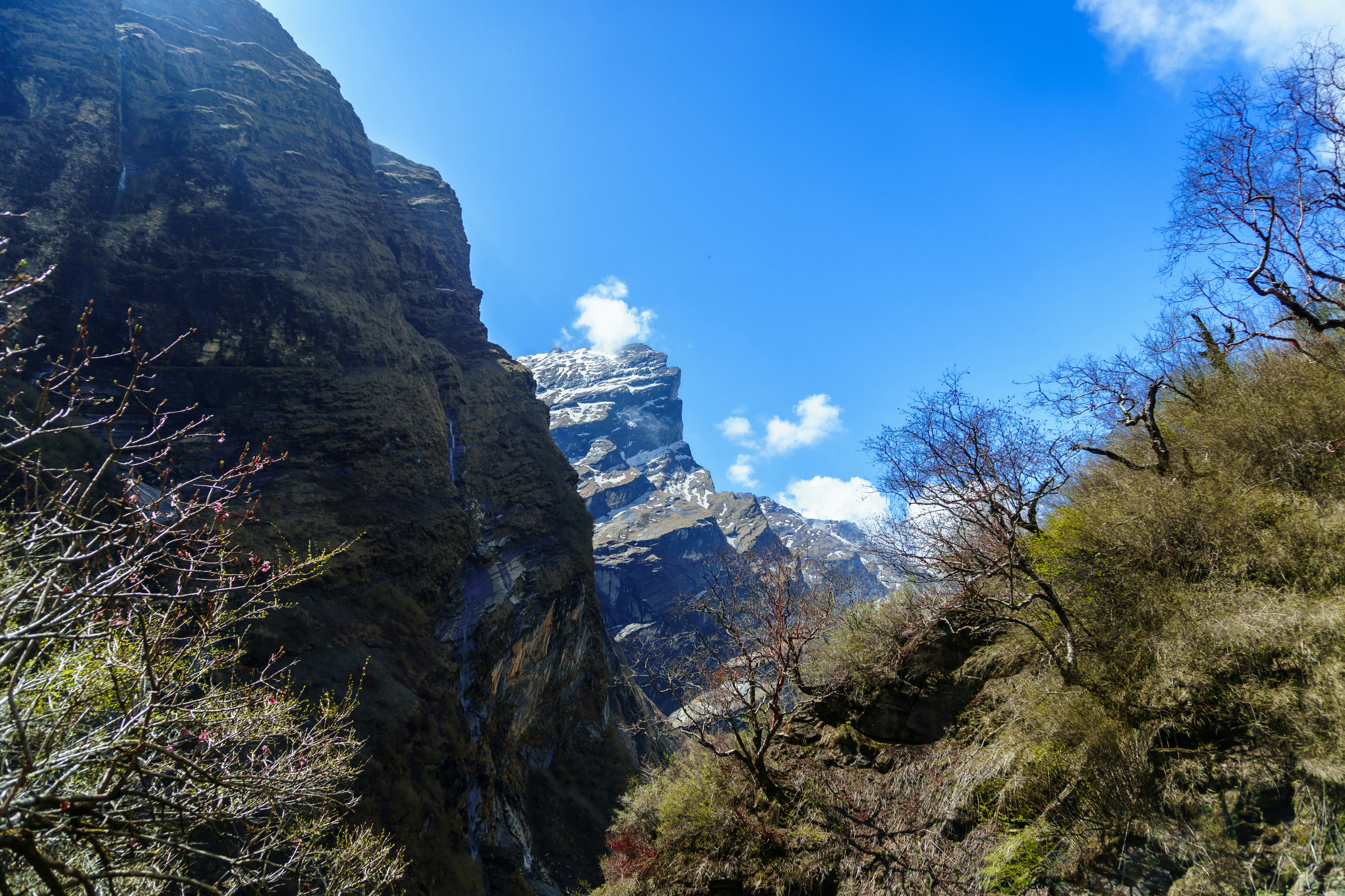 Photo by abdulkayum97