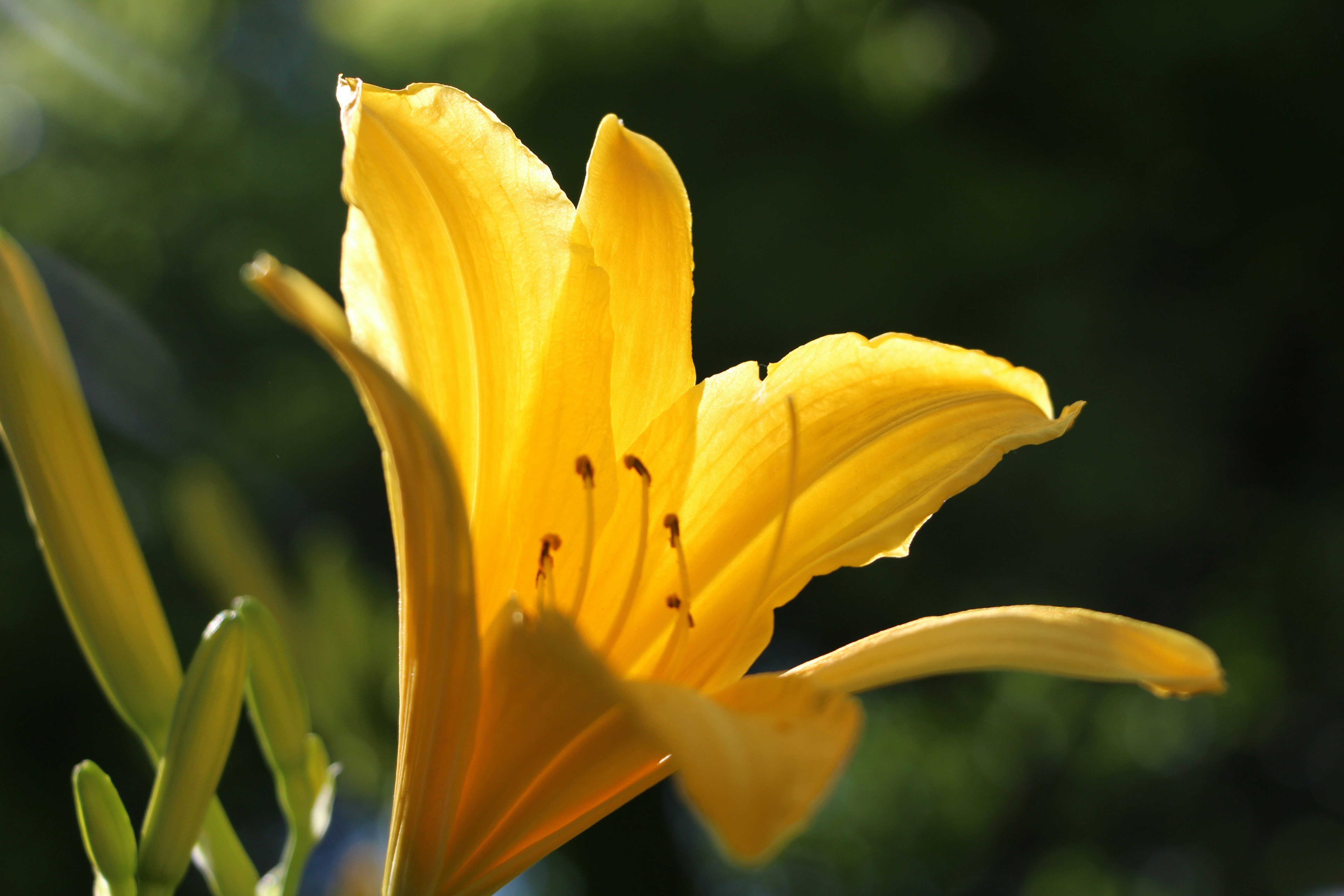 Photo by audrivangores