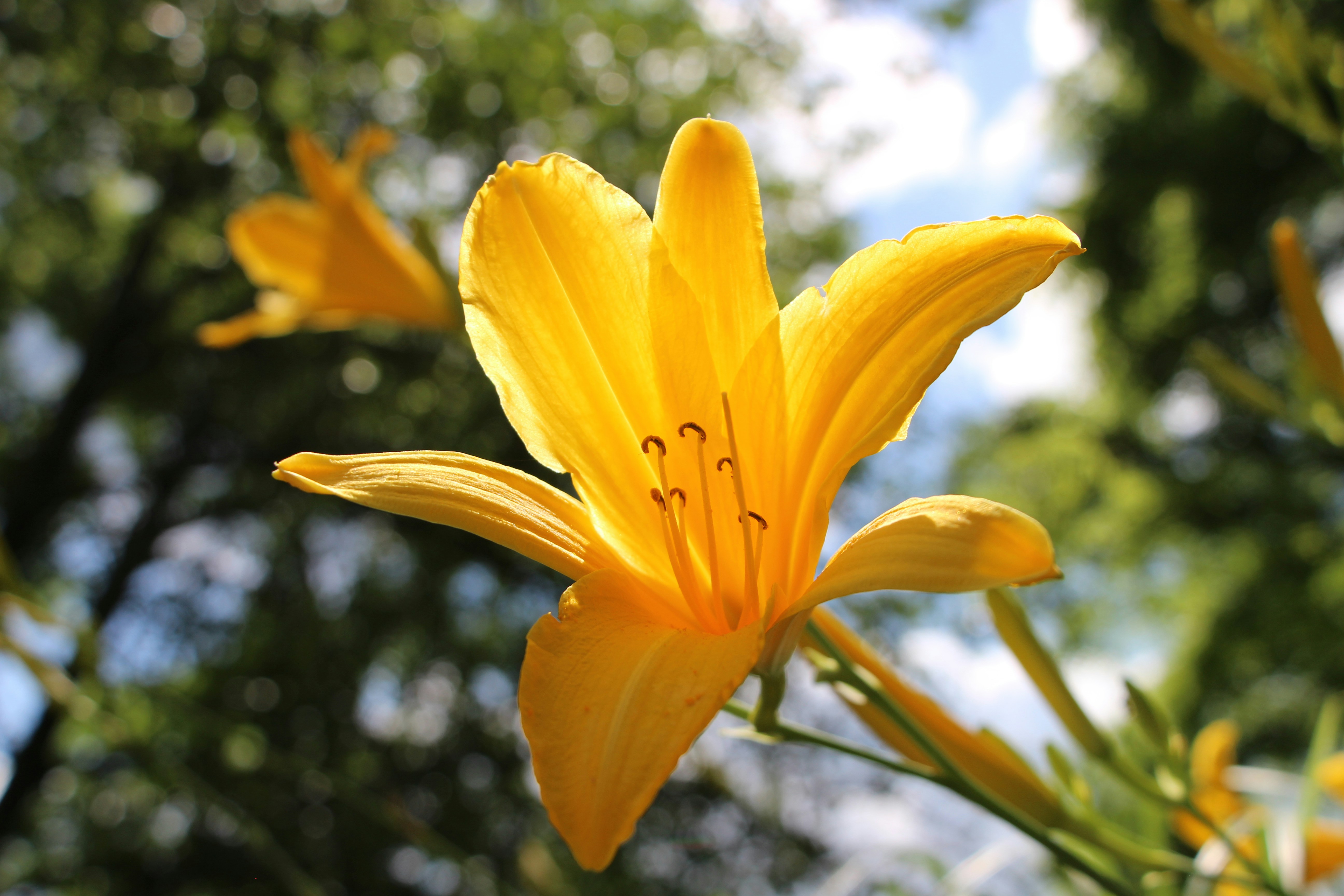 Photo by audrivangores