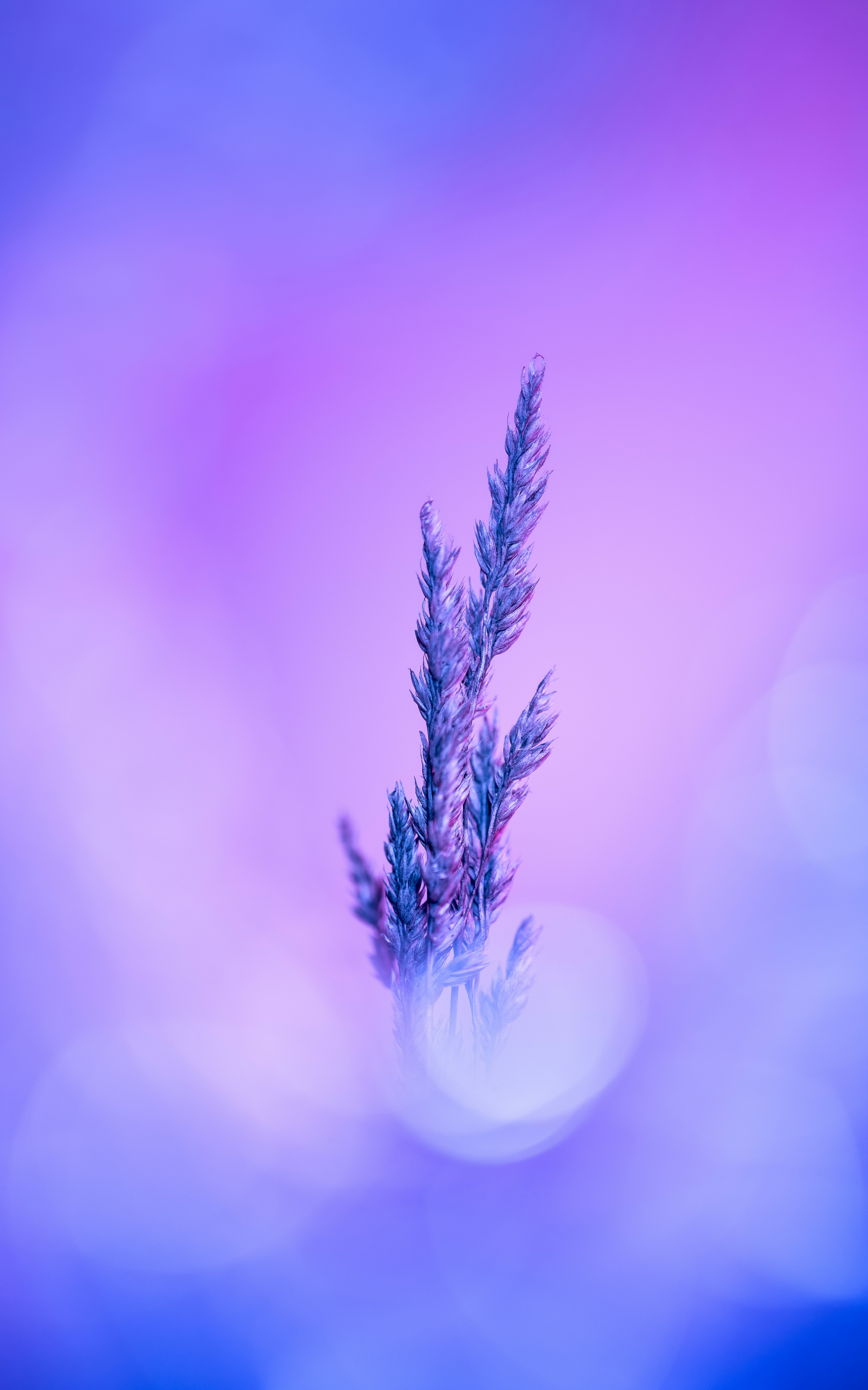 Photo by marekpiwnicki