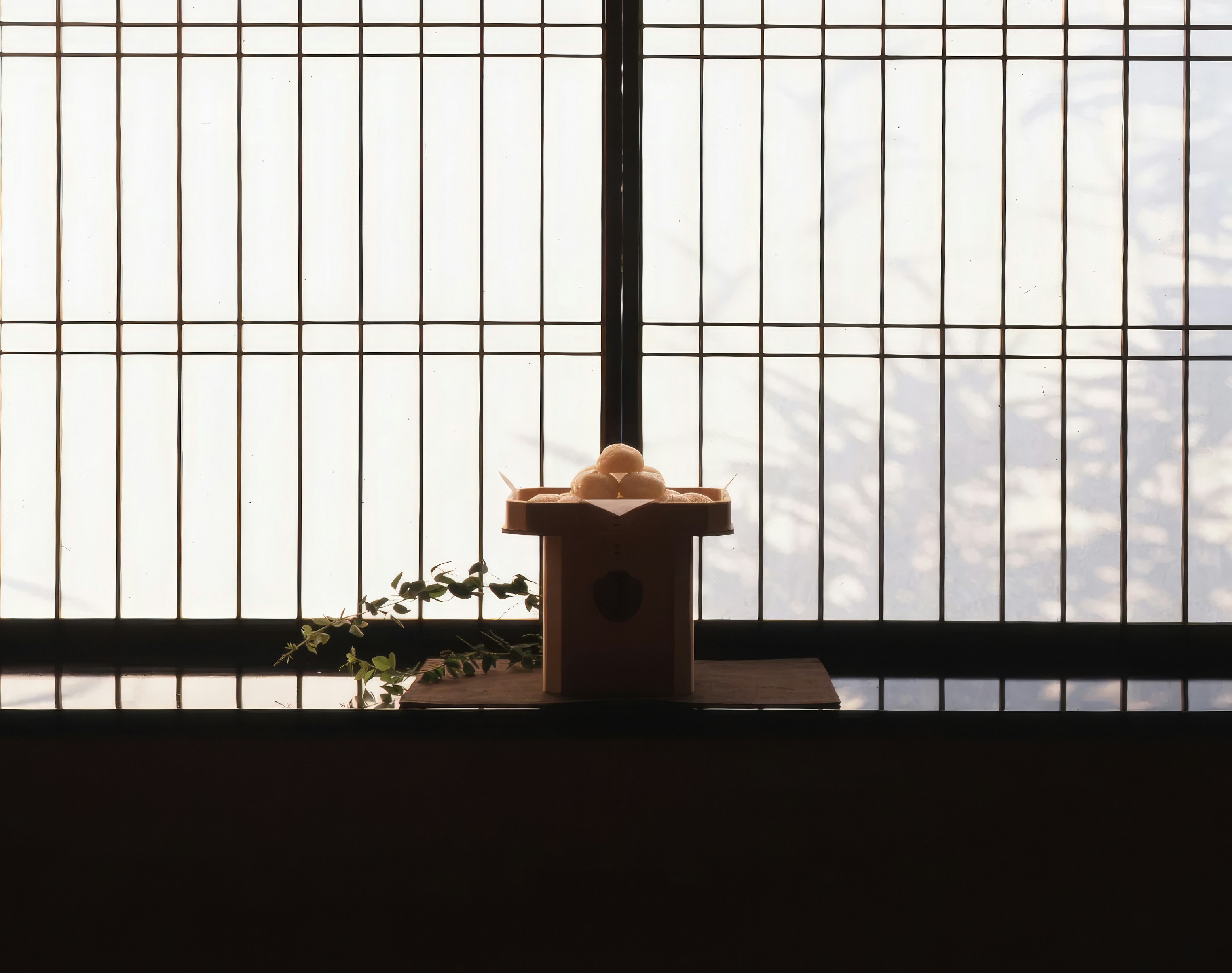 Lightbox 攝影圖書室