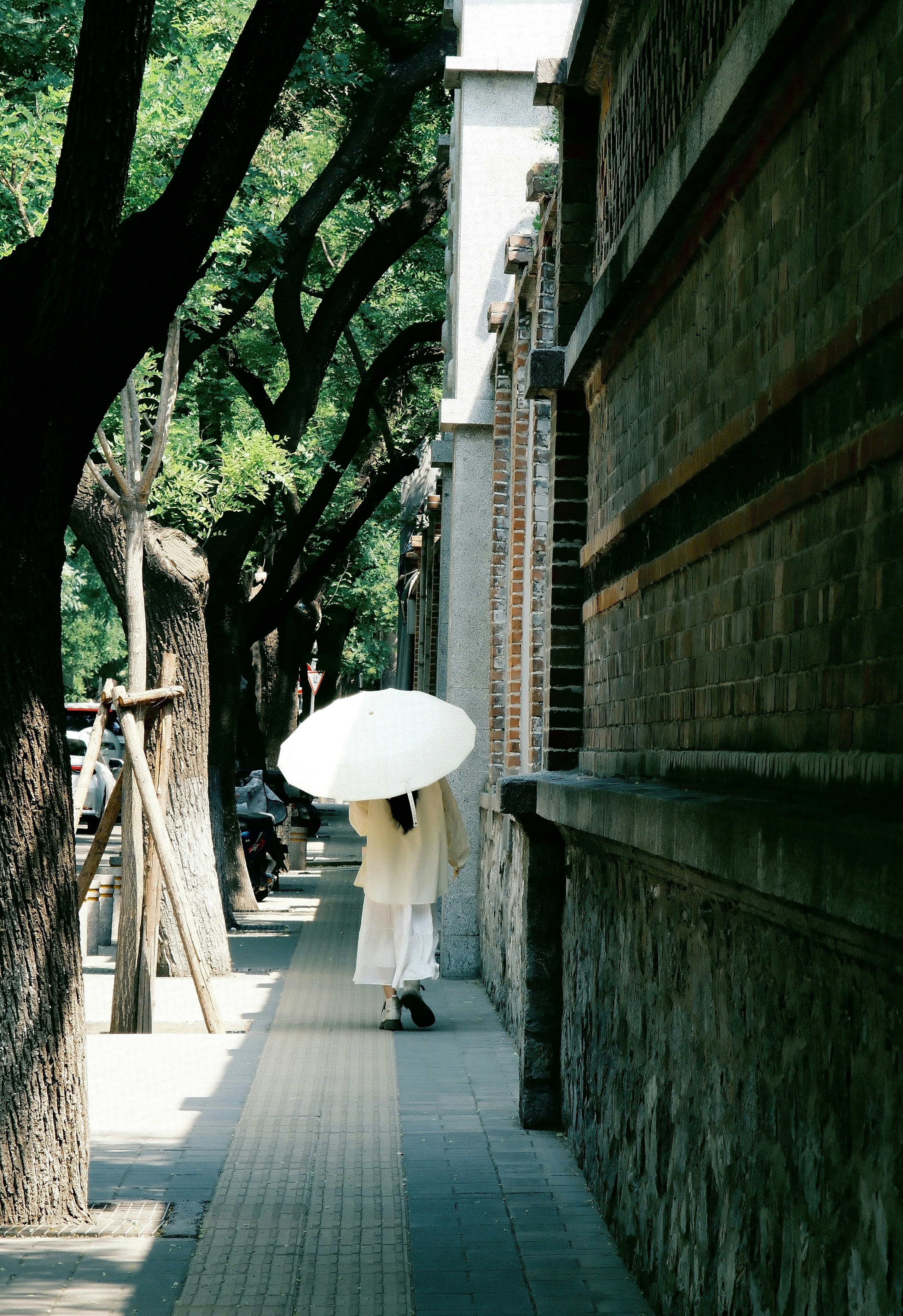 Photo by yukiliu0566