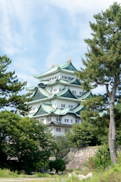 A tall white building sitting next to a forest