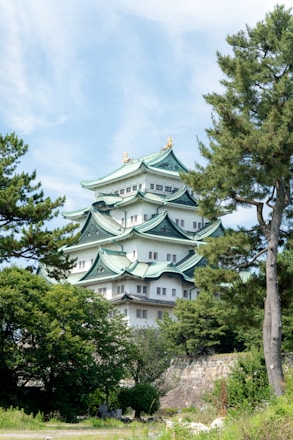 A tall white building sitting next to a forest