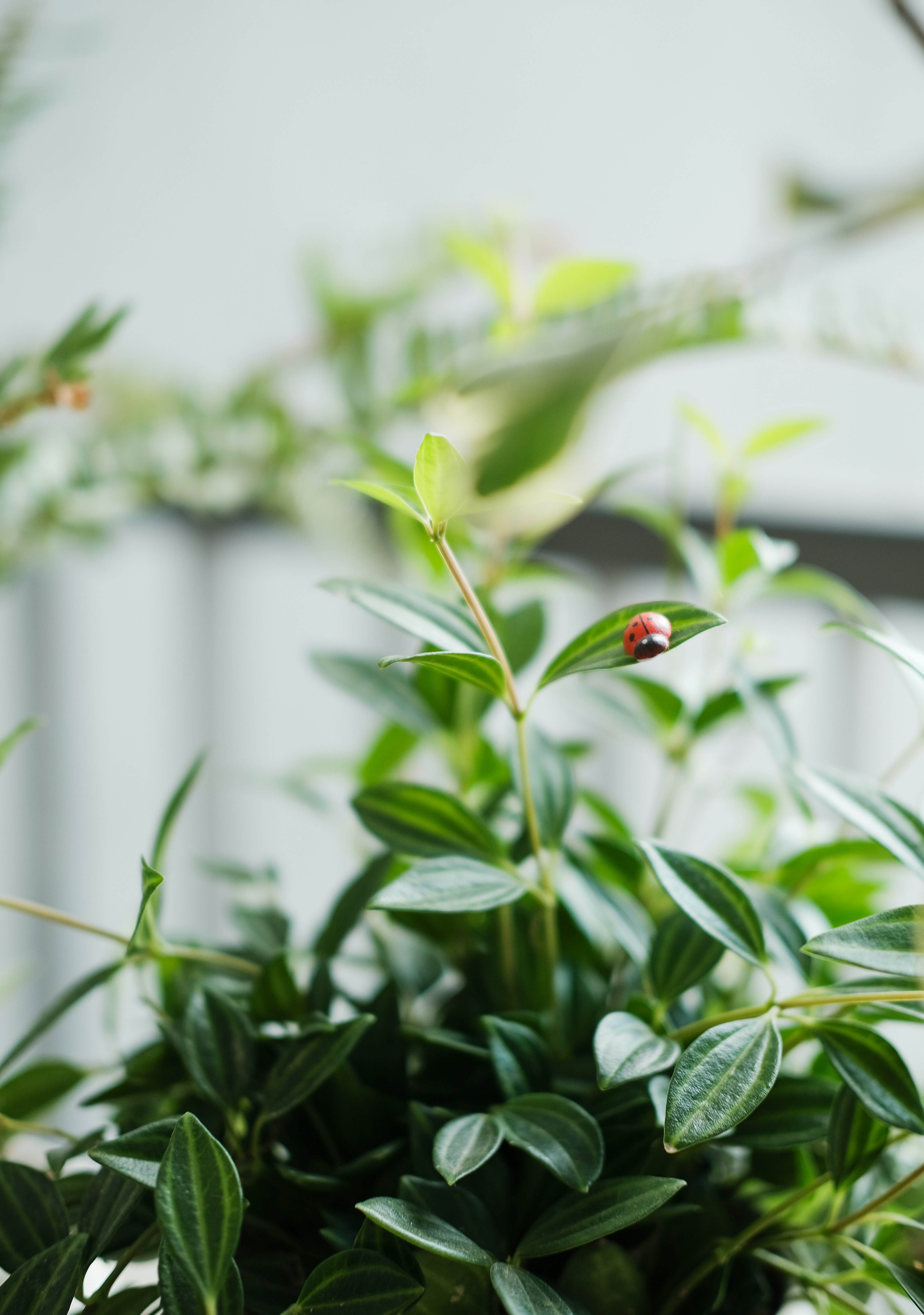 Photo by nganduong93