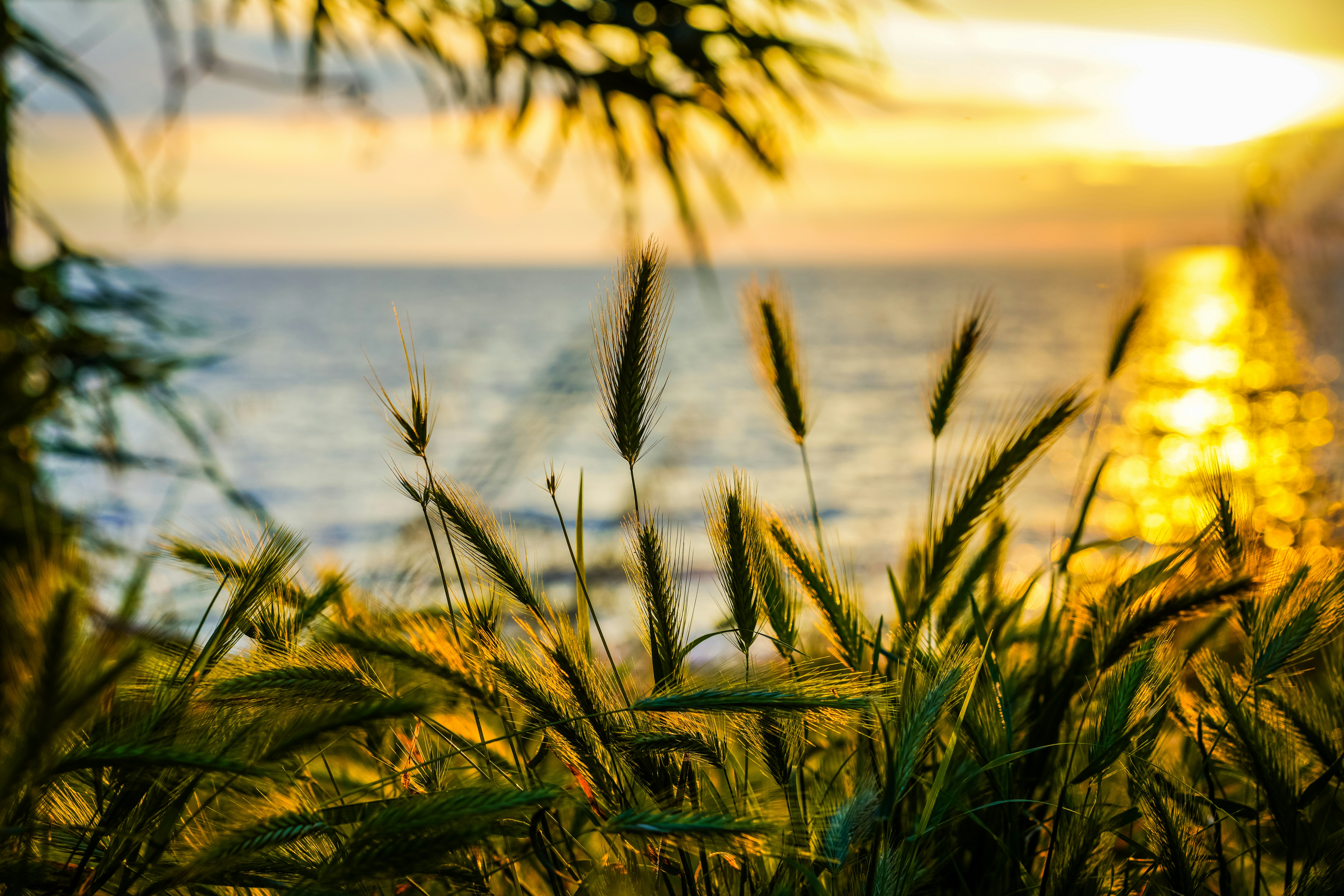 Photo by magictravel