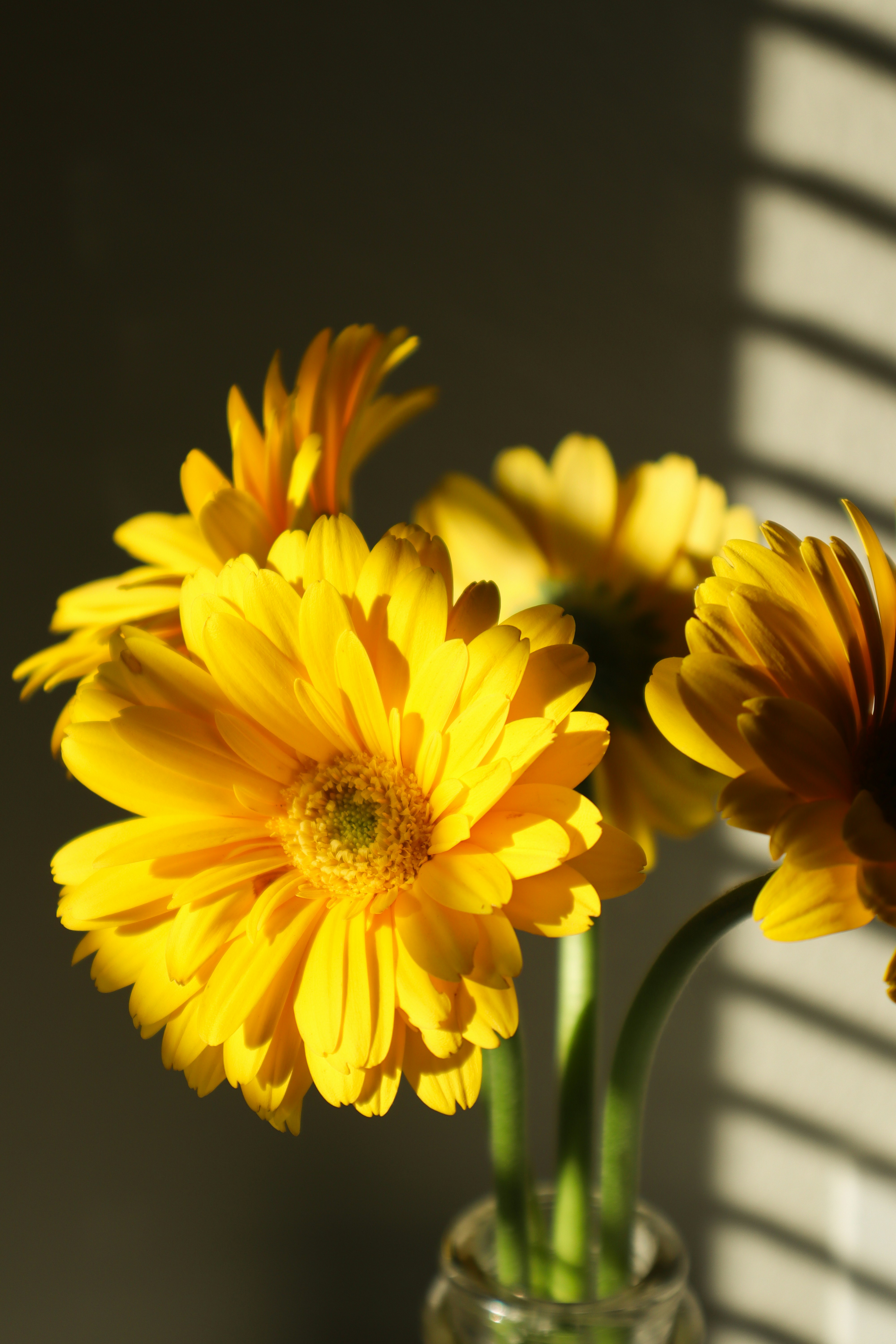 Photo by silviapgalan