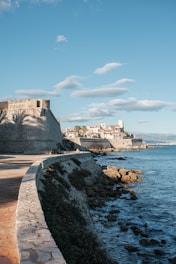 A view of a beach with a castle in the background