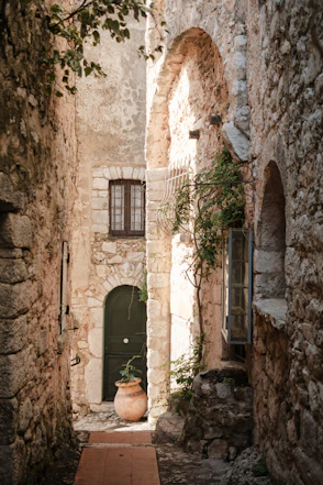 A narrow alley way with a potted plant in the middle
