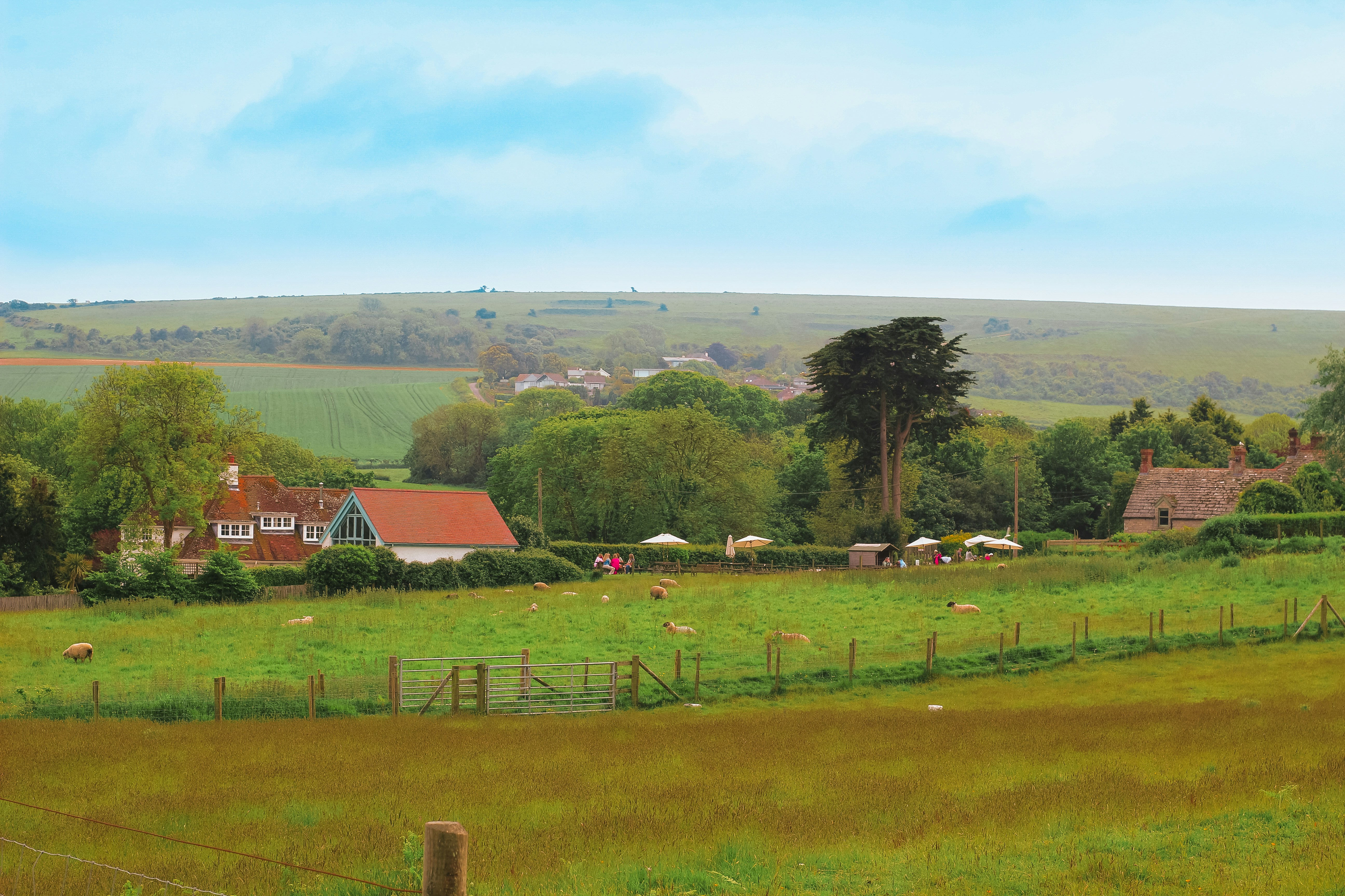 A painting of a green pasture with houses in the background