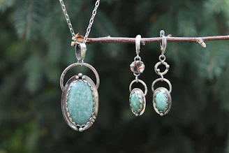 A couple of necklaces that are on a branch