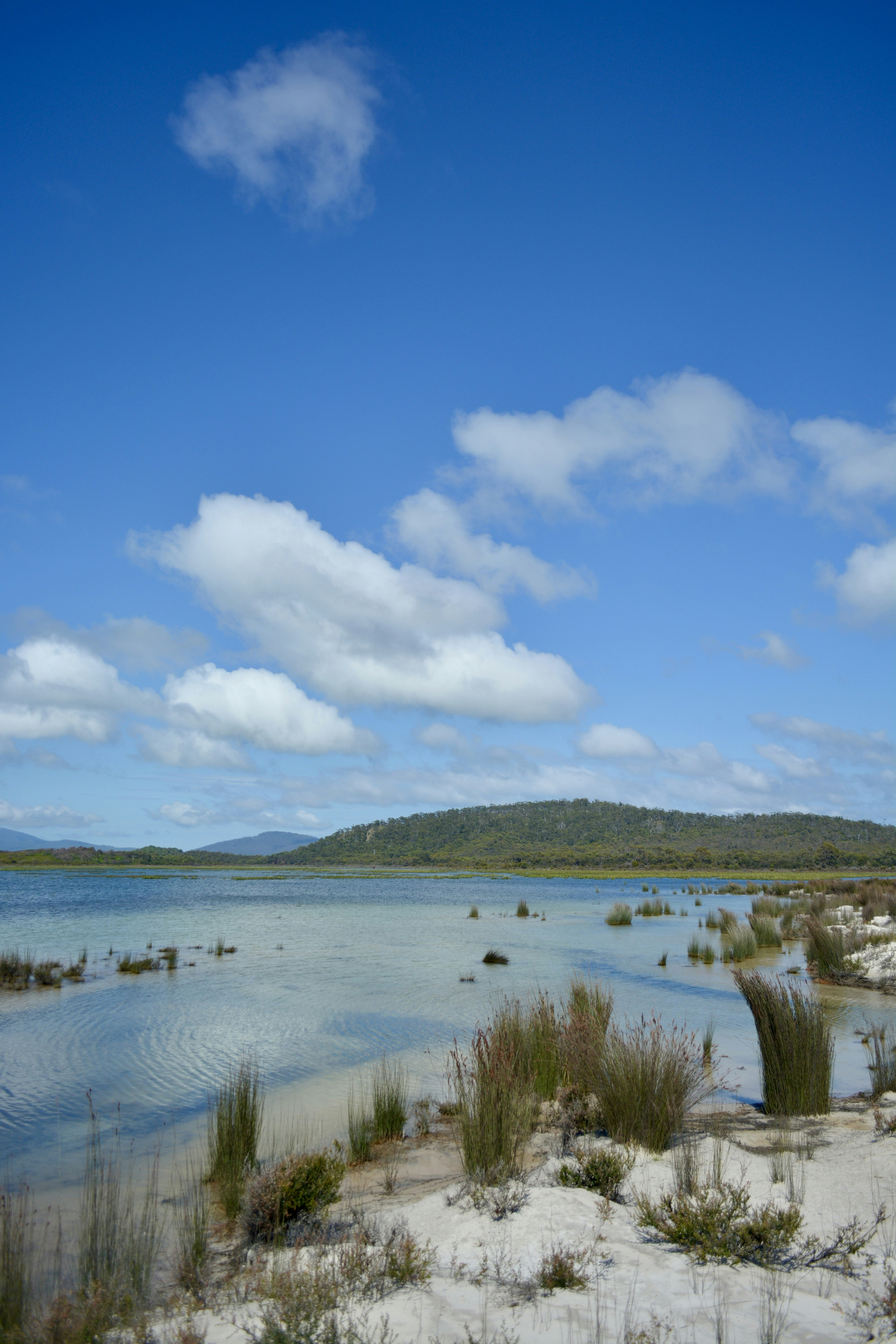 A body of water surrounded by sand and grass