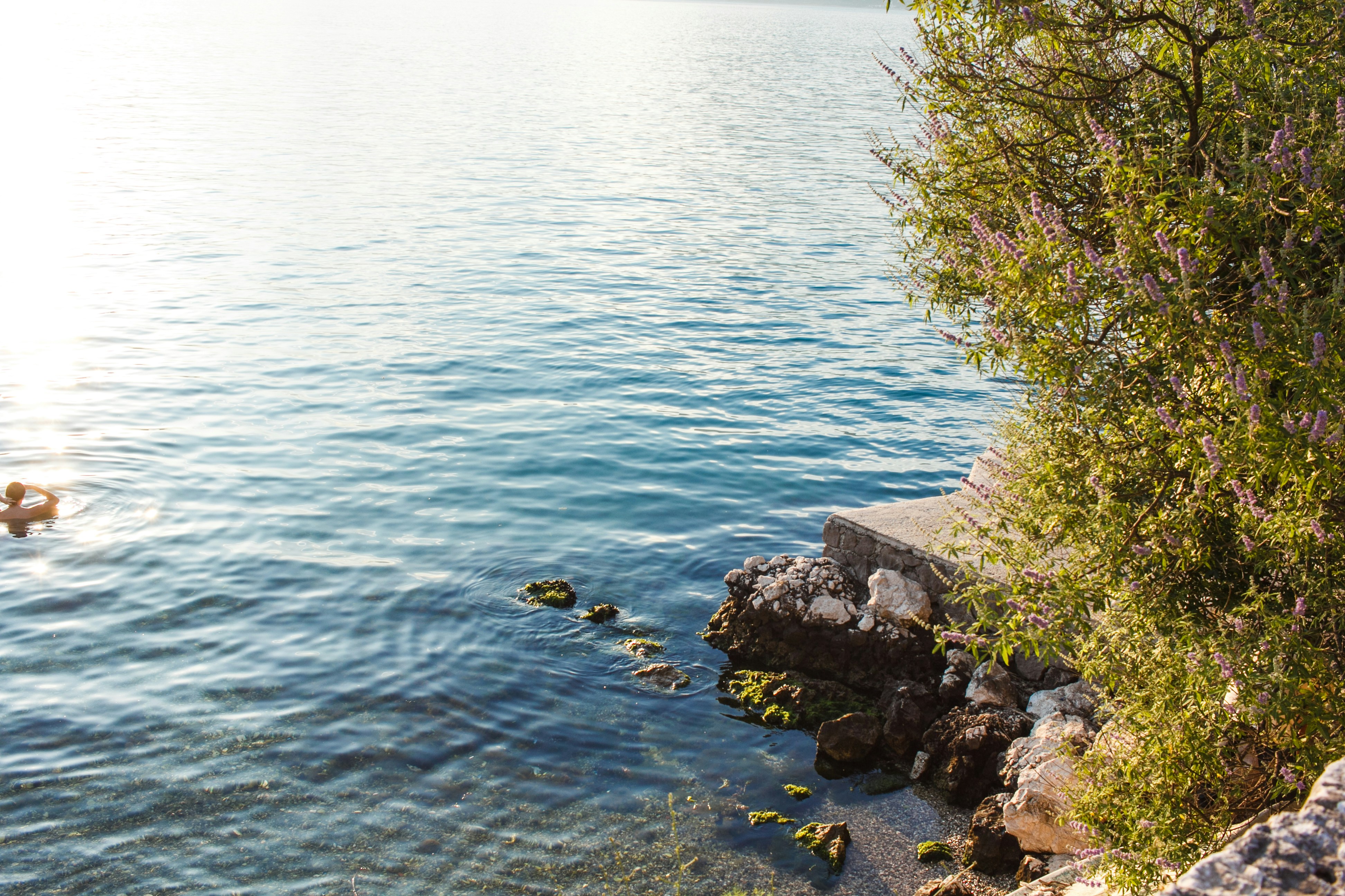 Photo by romanvolkov