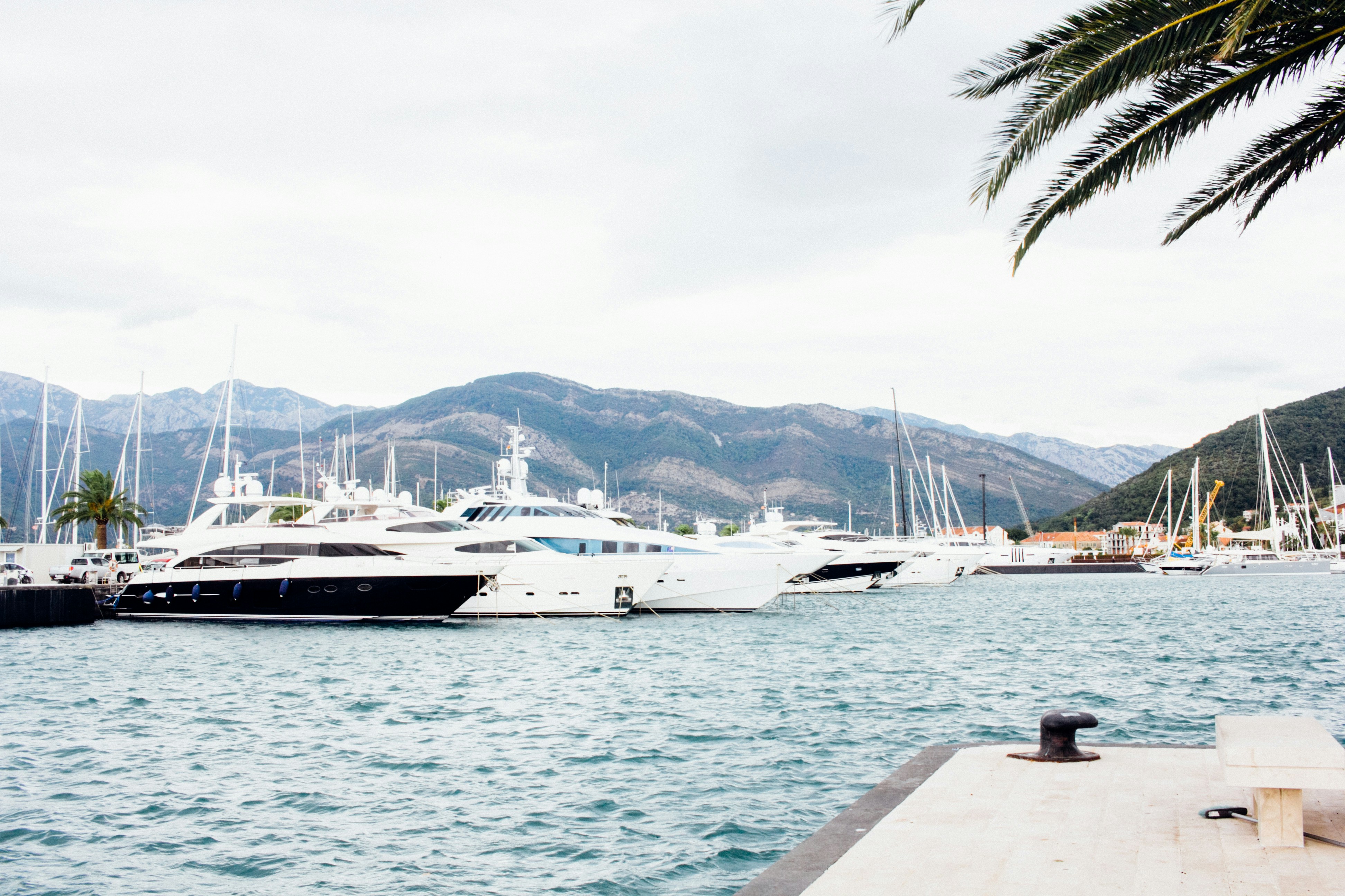 Photo by romanvolkov