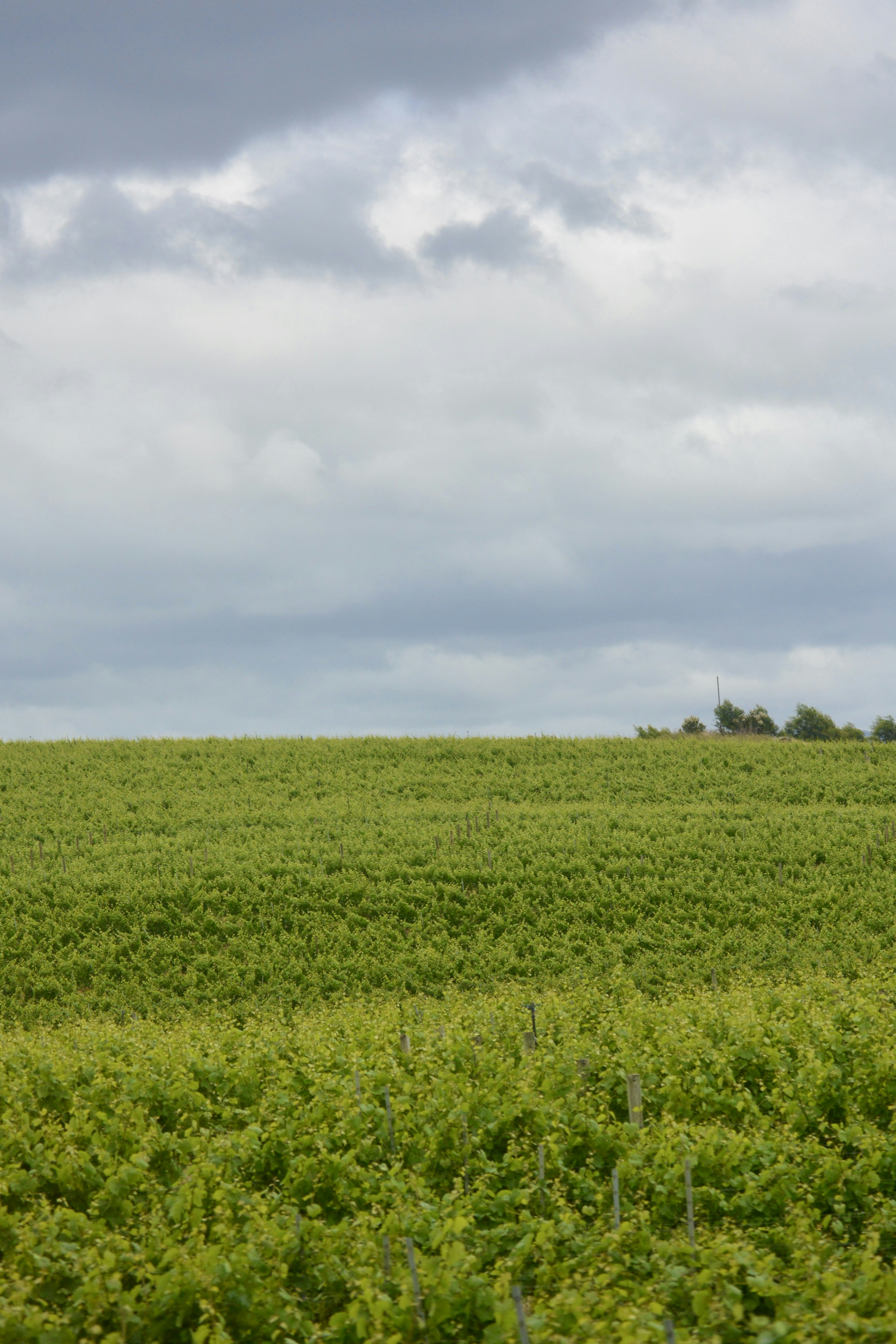 Photo by kshithijchandrashekar