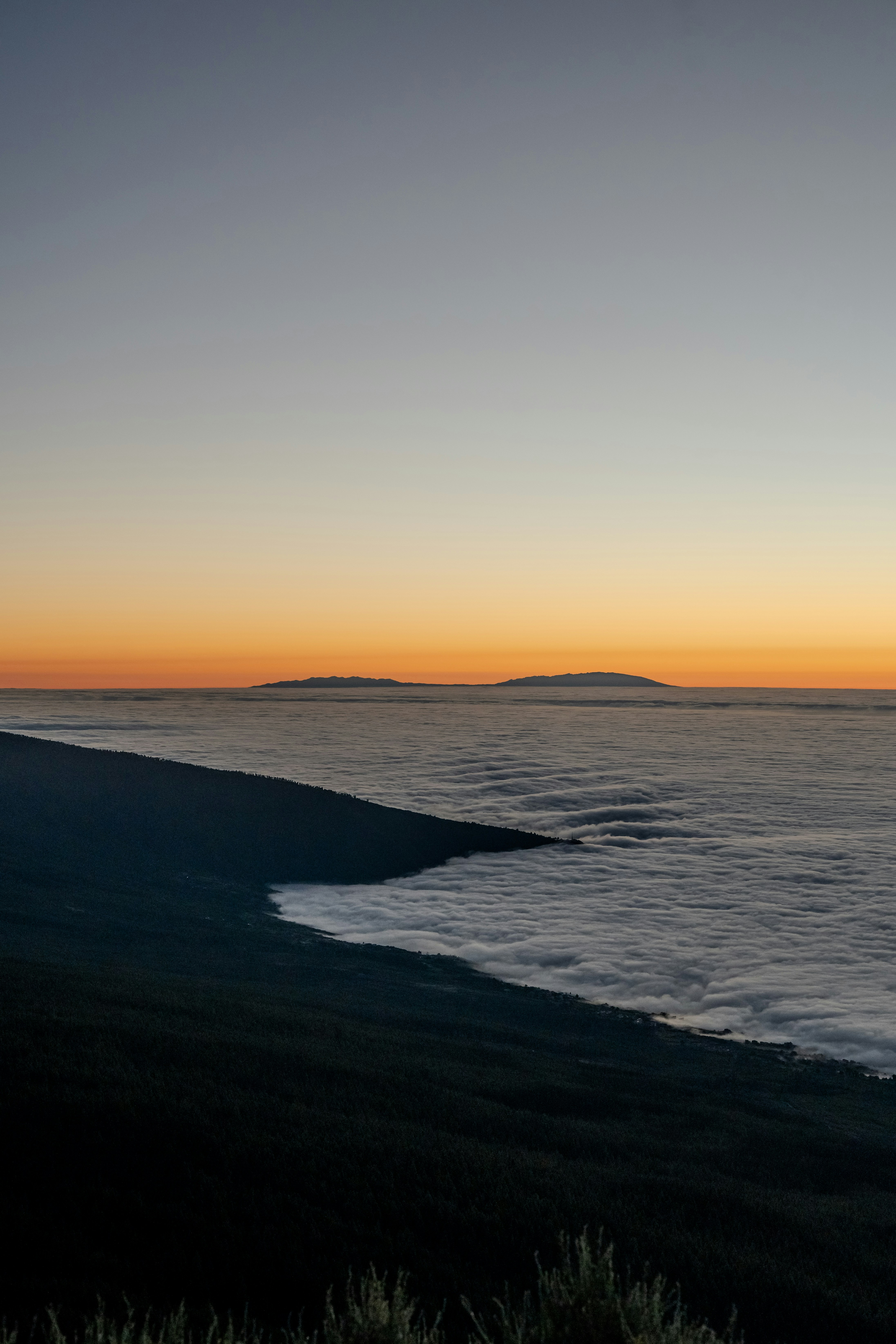 Photo by arturparaschiv