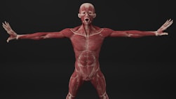 A man with his arms out and hands out